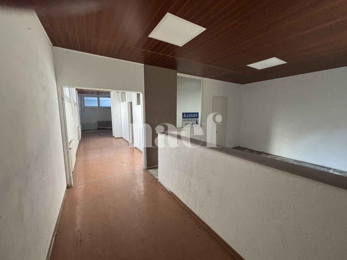 À louer : Surface Commerciale Arcade Grand-Lancy - Ref : 219727.1 | Naef Immobilier