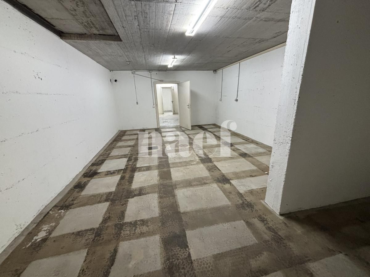 À louer : Surface Commerciale Arcade Grand-Lancy - Ref : 219727.1 | Naef Immobilier