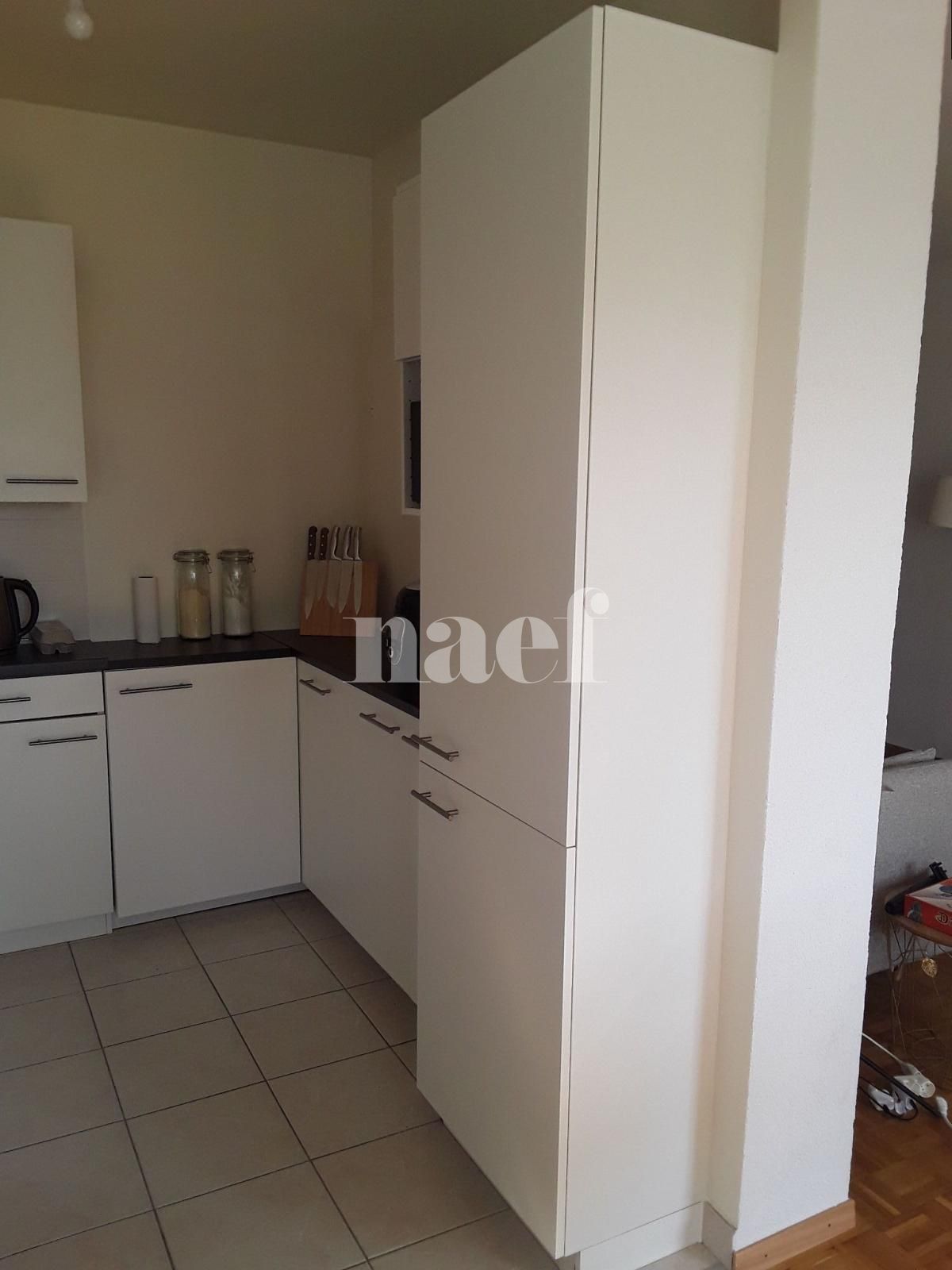 À louer : Appartement 3 Pieces Grand-Lancy - Ref : 219730.5003 | Naef Immobilier