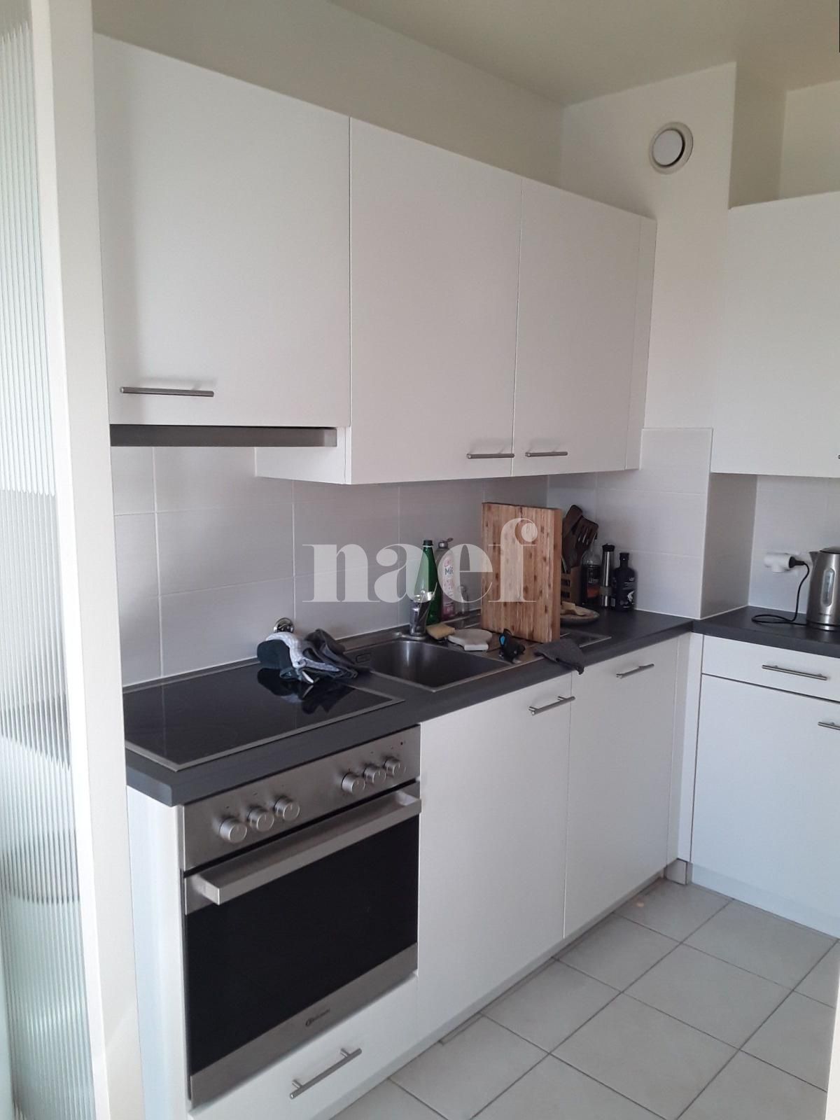 À louer : Appartement 3 Pieces Grand-Lancy - Ref : 219730.5003 | Naef Immobilier