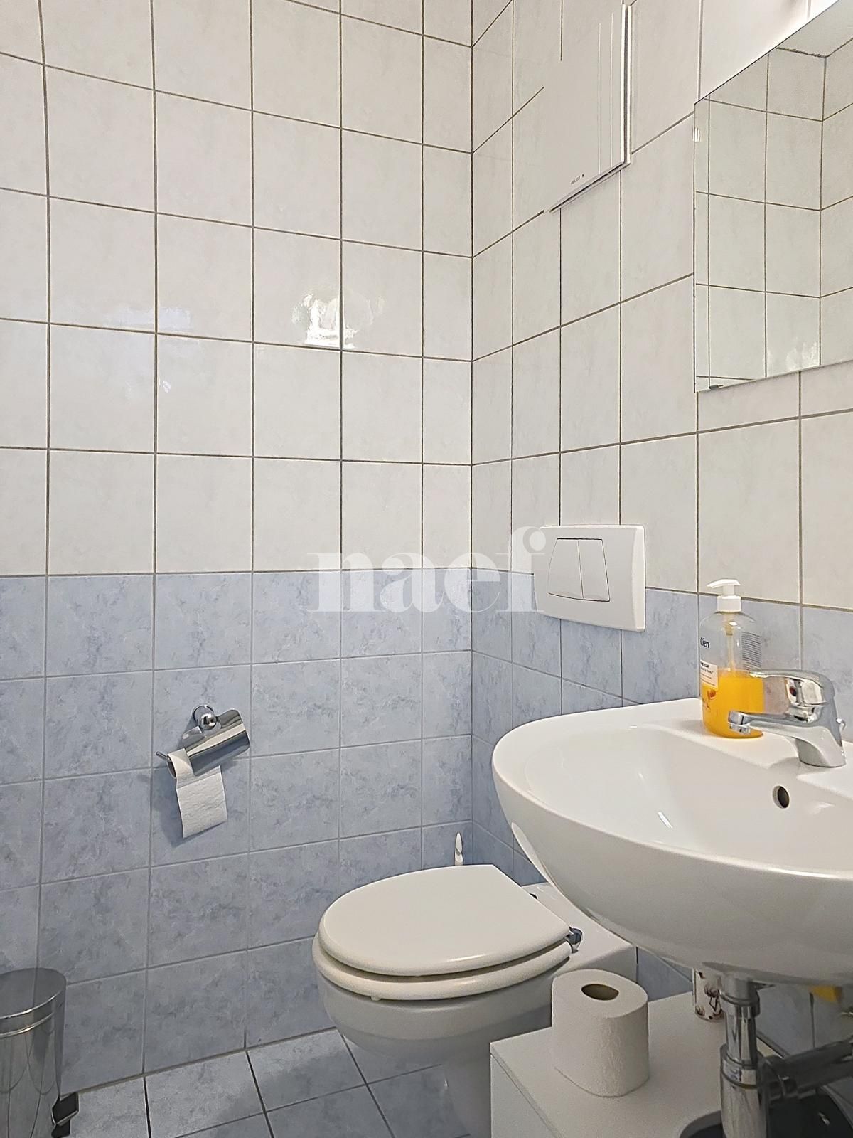À louer : Surface Commerciale Arcade Ecublens VD - Ref : 219734.2 | Naef Immobilier