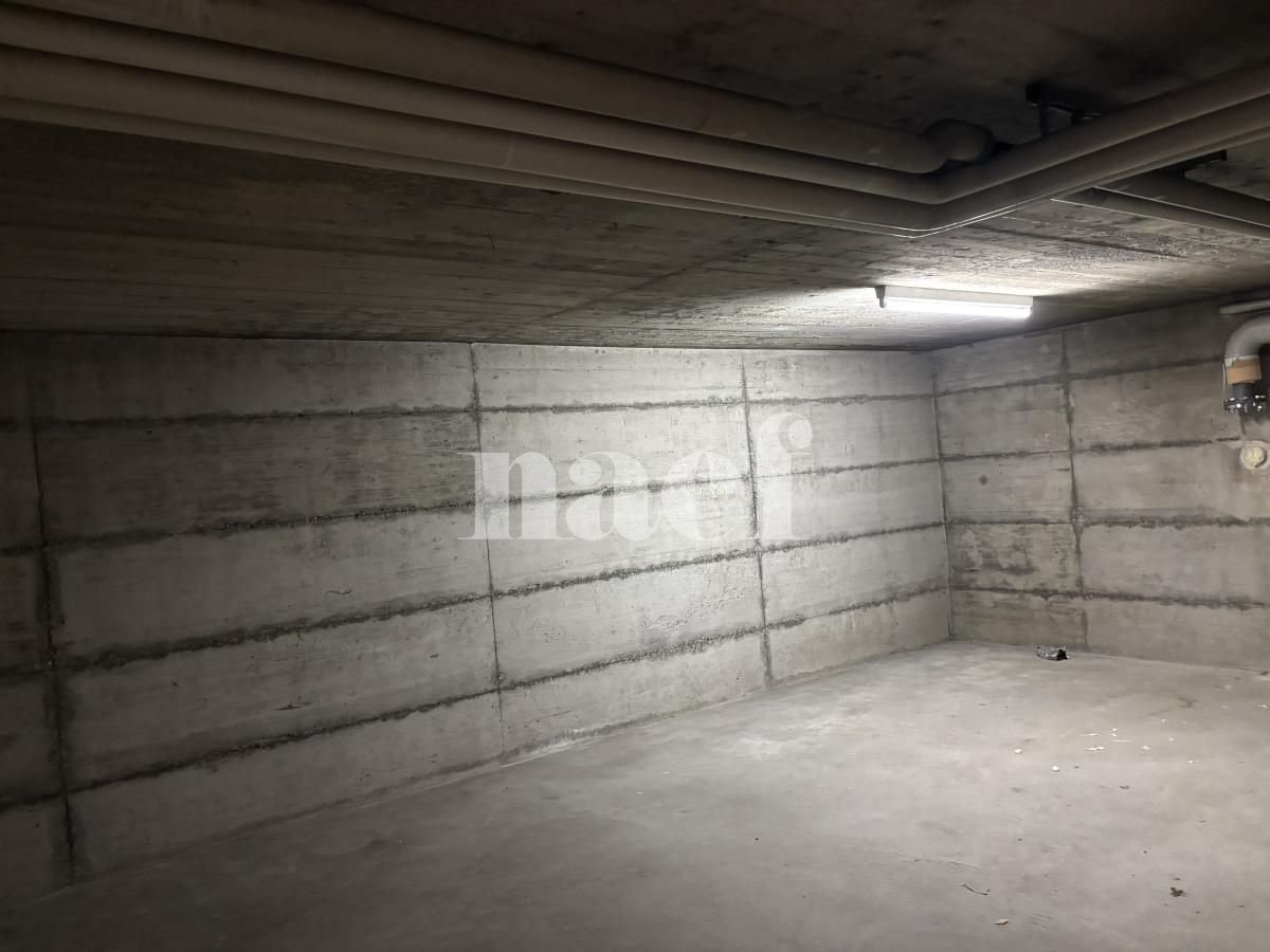 À louer : Dépôt Satigny - Ref : 219740.81001 | Naef Immobilier