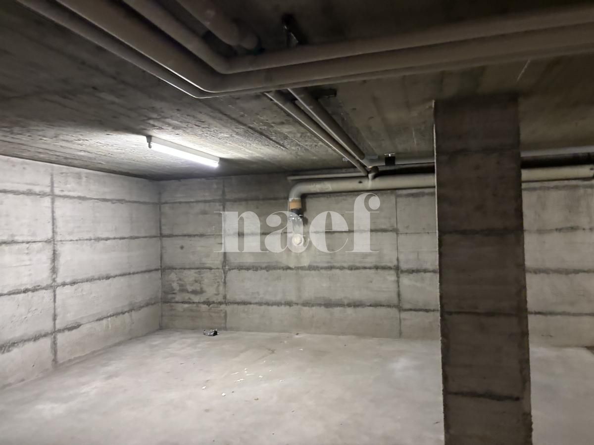 À louer : Dépôt Satigny - Ref : 219740.81001 | Naef Immobilier