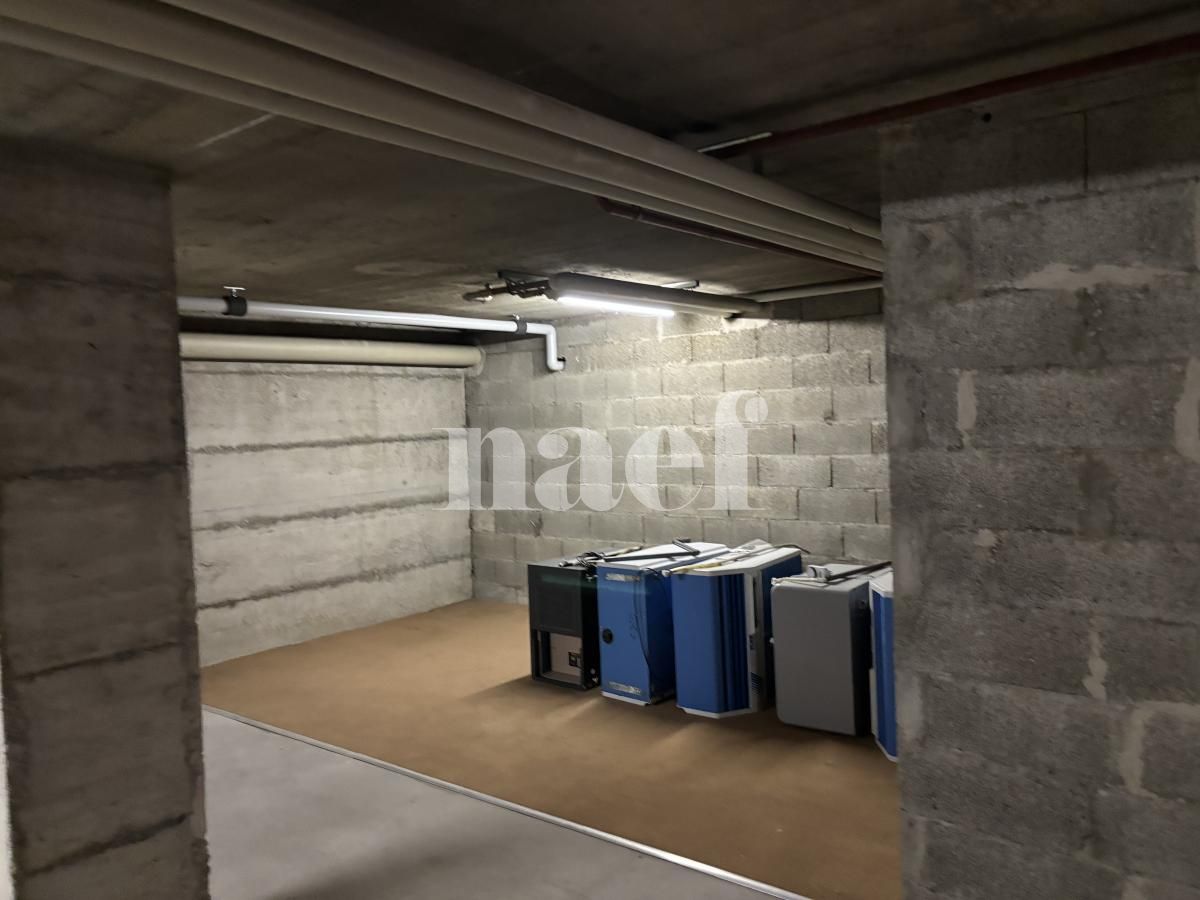 À louer : Dépôt Satigny - Ref : 219740.81001 | Naef Immobilier