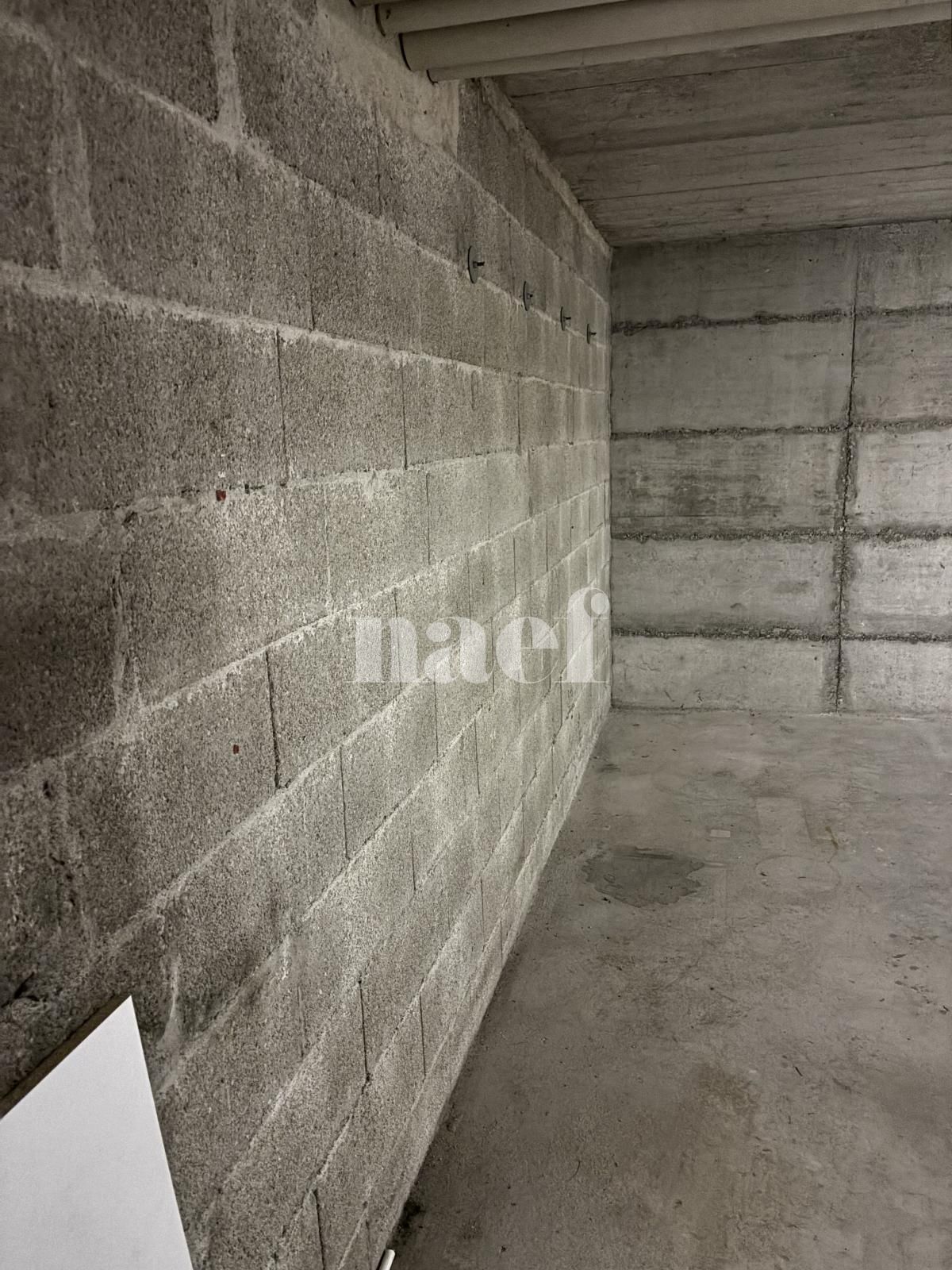 À louer : Dépôt Satigny - Ref : 219740.81001 | Naef Immobilier