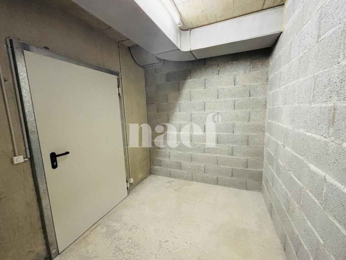 À louer : Dépôt Le Grand-Saconnex - Ref : 219755.81002 | Naef Immobilier