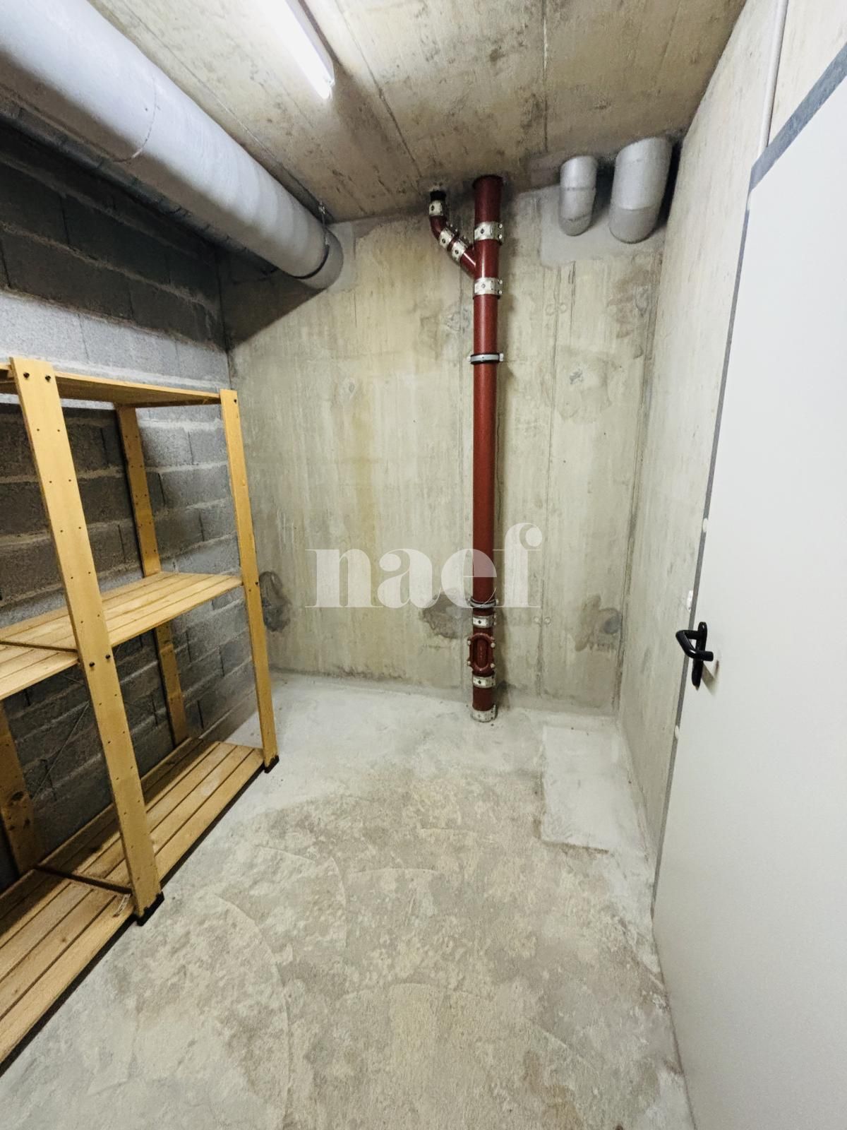 À louer : Dépôt Le Grand-Saconnex - Ref : 219756.81001 | Naef Immobilier