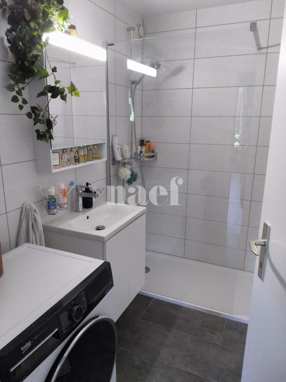 À louer : Appartement 3 Pieces Peseux - Ref : 219773.4002 | Naef Immobilier