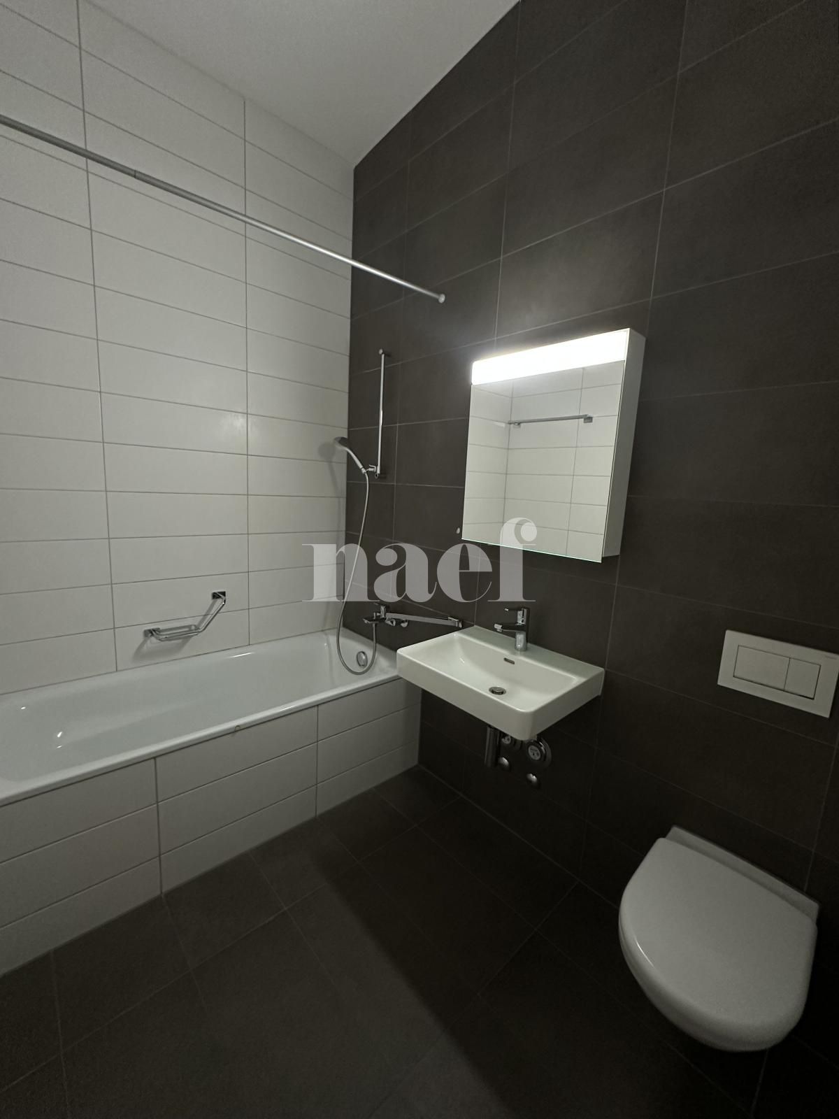 À louer : Appartement 3.5 Pieces Le Landeron - Ref : 219805.3004 | Naef Immobilier