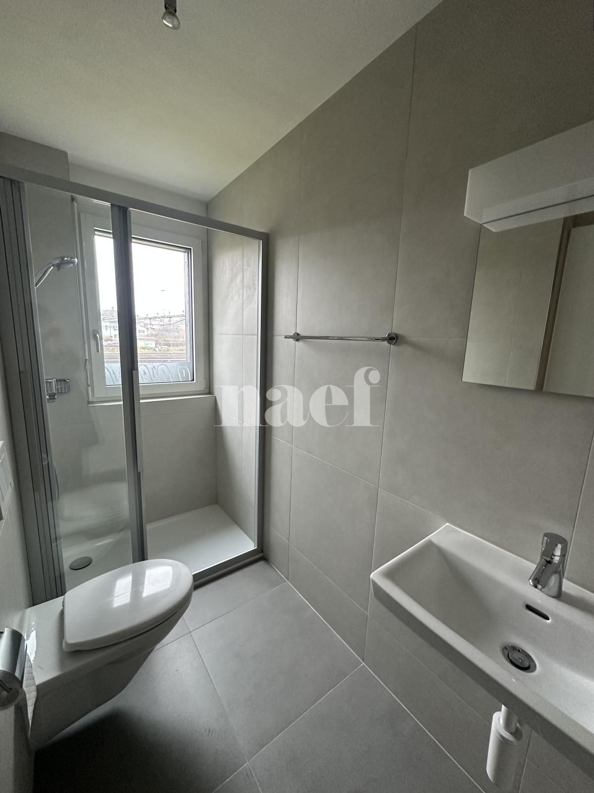 À louer : Appartement 4.5 Pieces Delémont - Ref : 219819.2 | Naef Immobilier