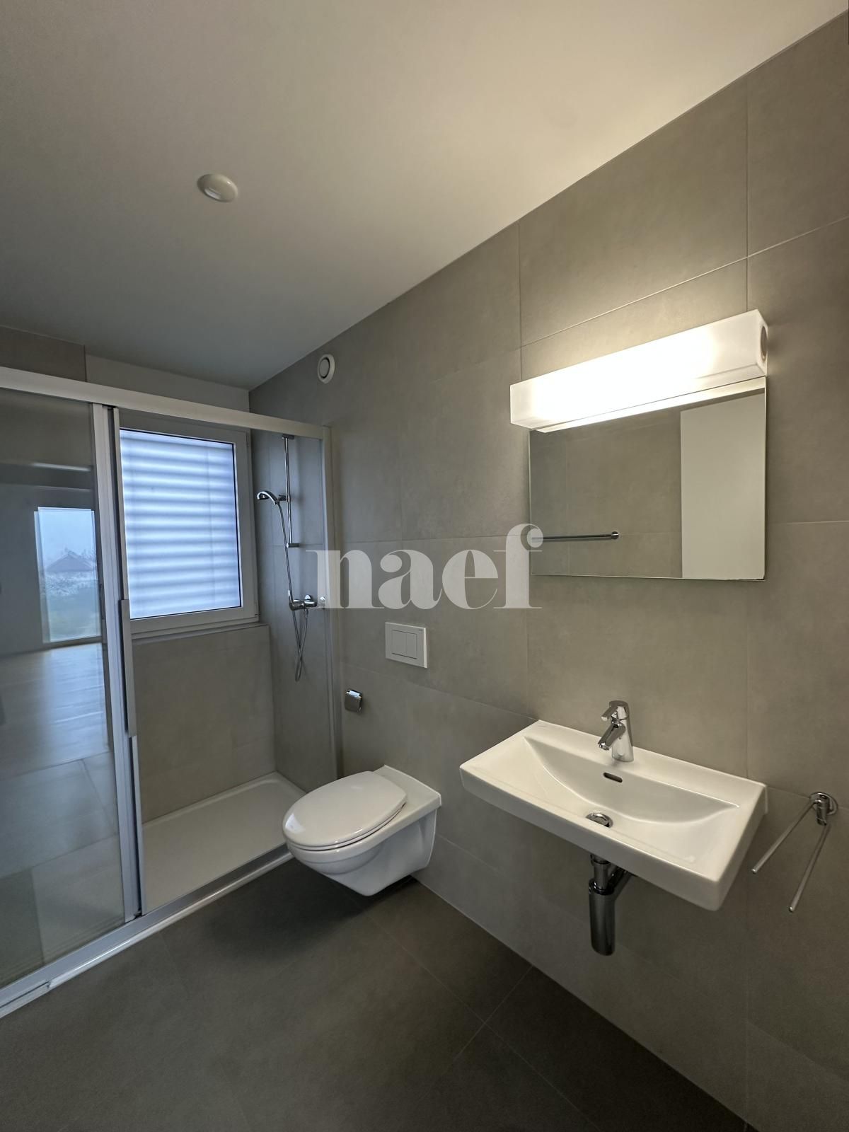 À louer : Appartement 4.5 Pieces Delémont - Ref : 219819.3002 | Naef Immobilier