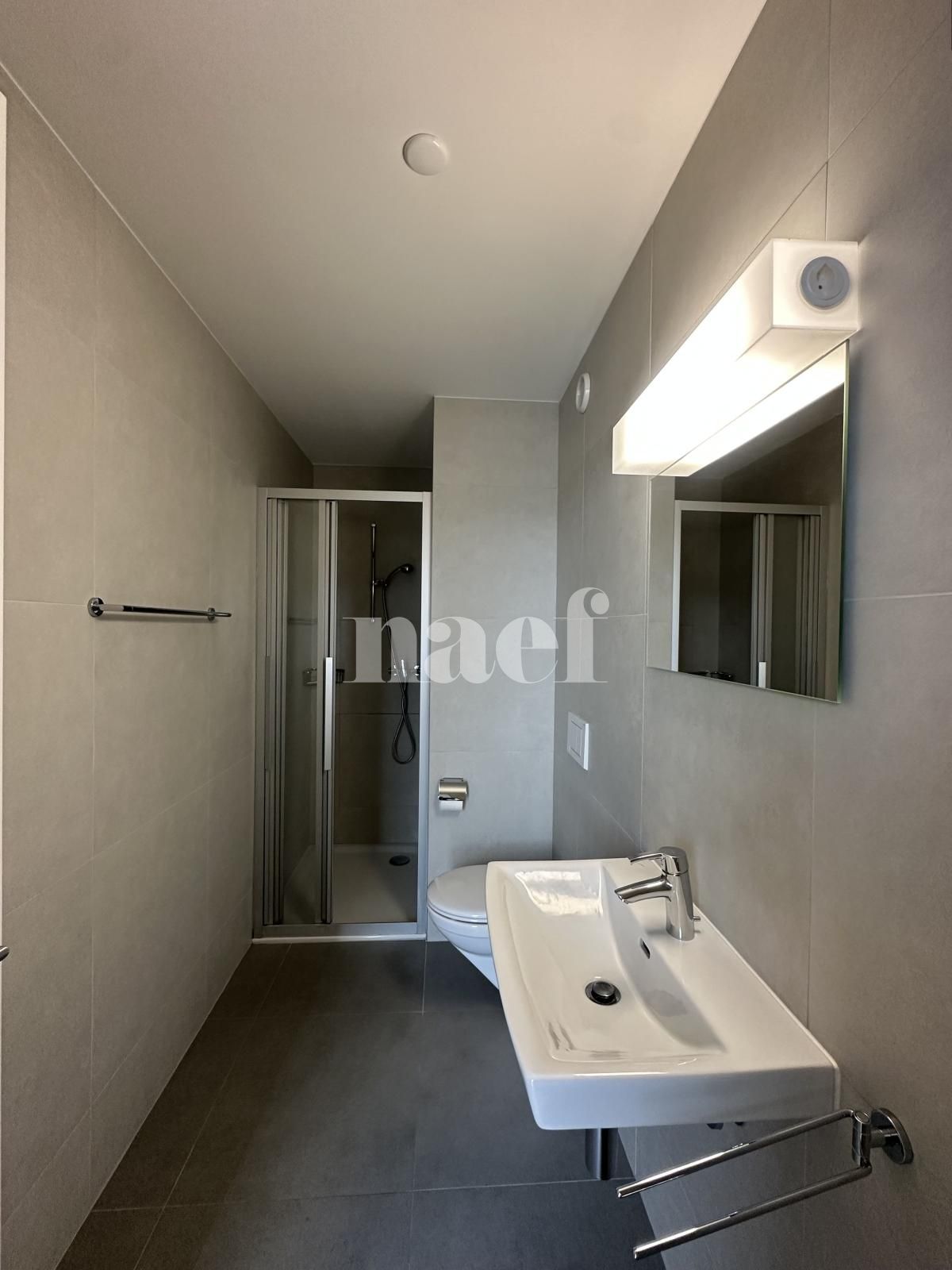 À louer : Appartement 5.5 Pieces Delémont - Ref : 219819.3003 | Naef Immobilier
