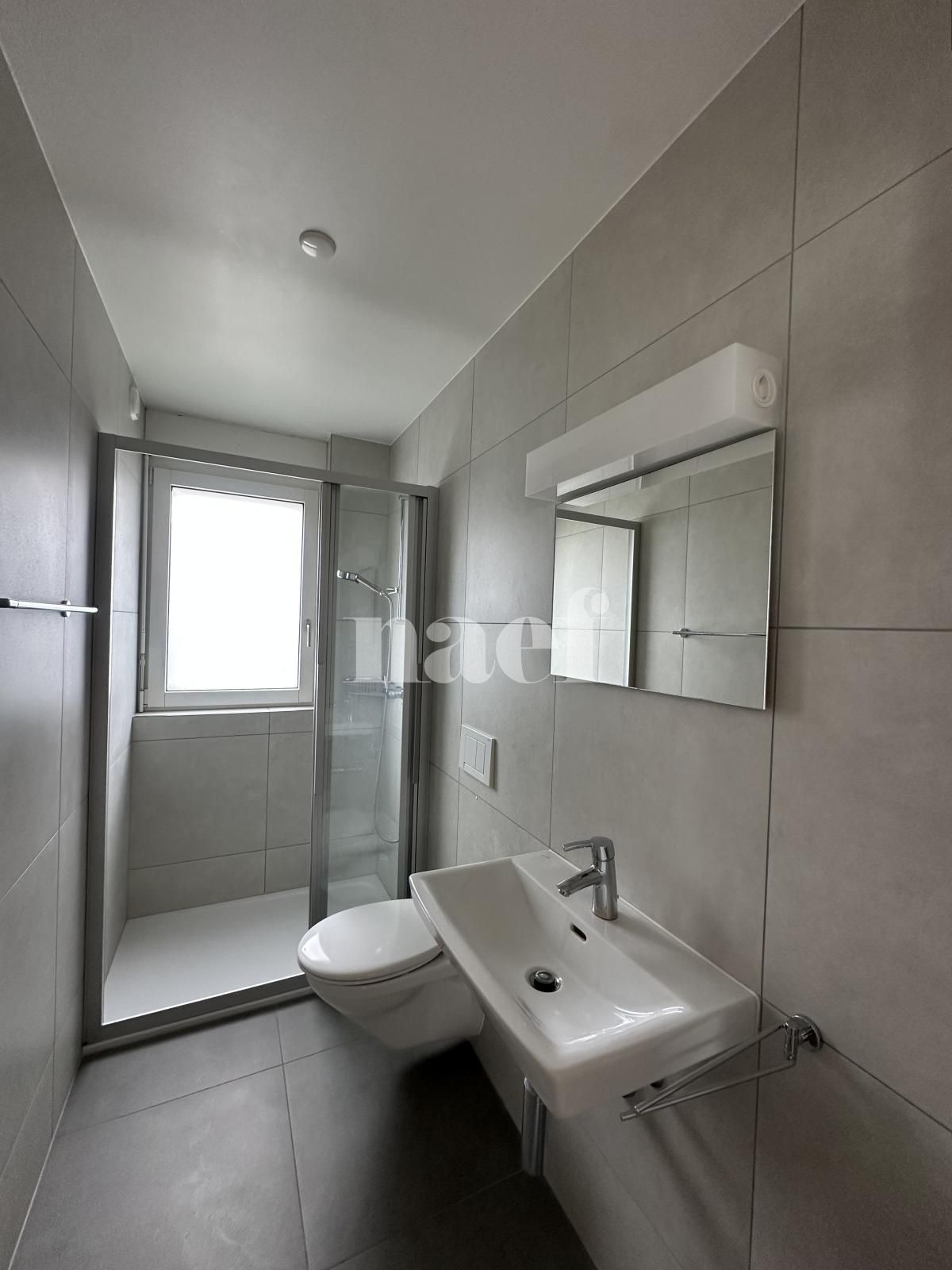 À louer : Appartement 3.5 Pieces Delémont - Ref : 219820.1001 | Naef Immobilier