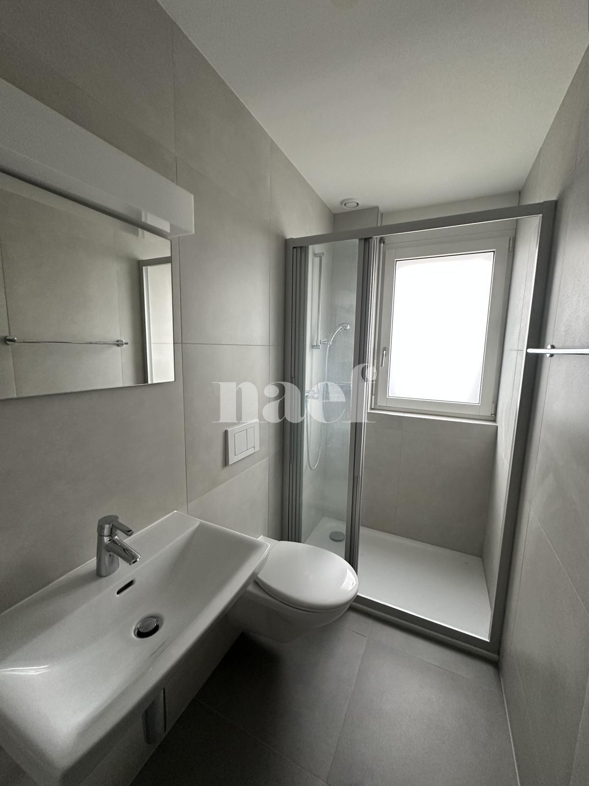 À louer : Appartement 3.5 Pieces Delémont - Ref : 219820.1002 | Naef Immobilier