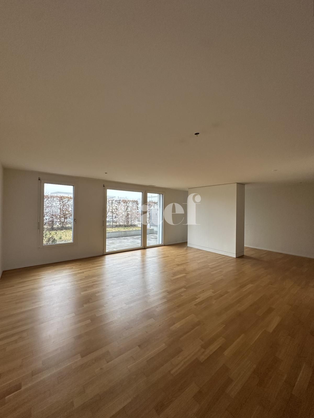 À louer : Appartement 4.5 Pieces Delémont - Ref : 219821.2 | Naef Immobilier