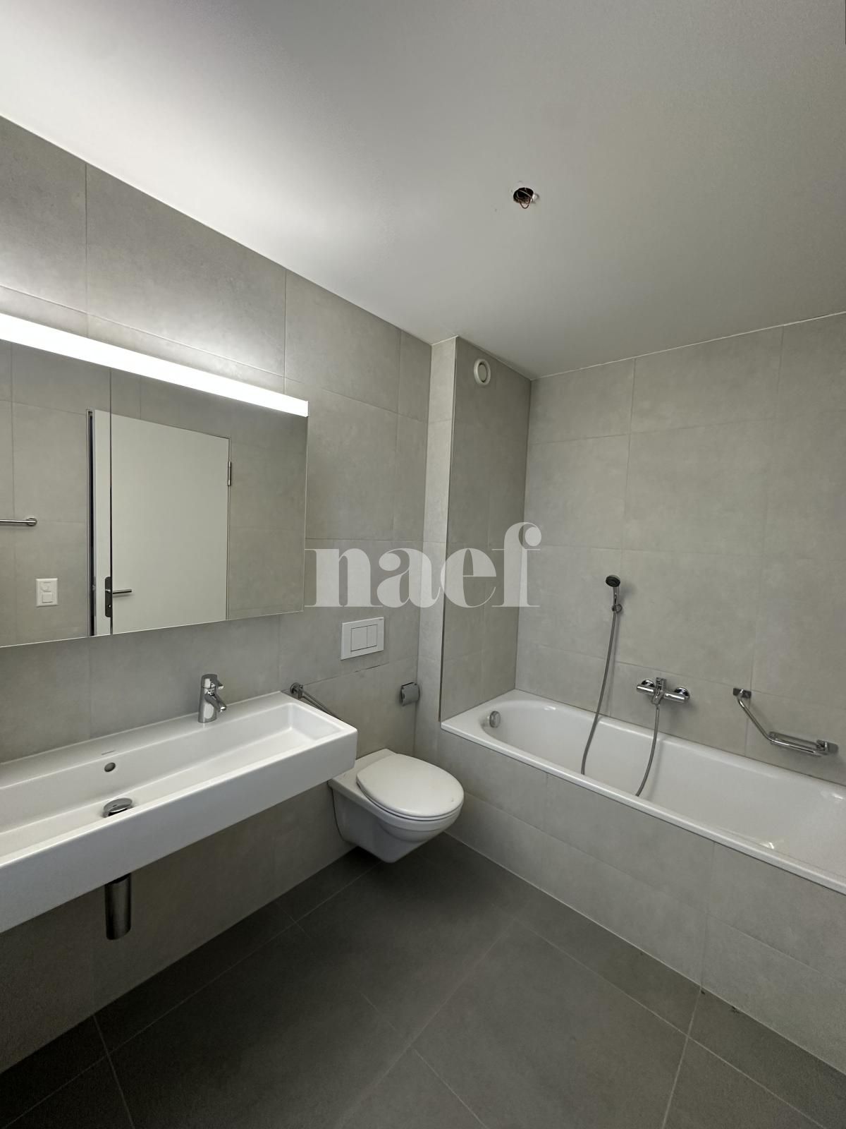 À louer : Appartement 4.5 Pieces Delémont - Ref : 219821.2 | Naef Immobilier