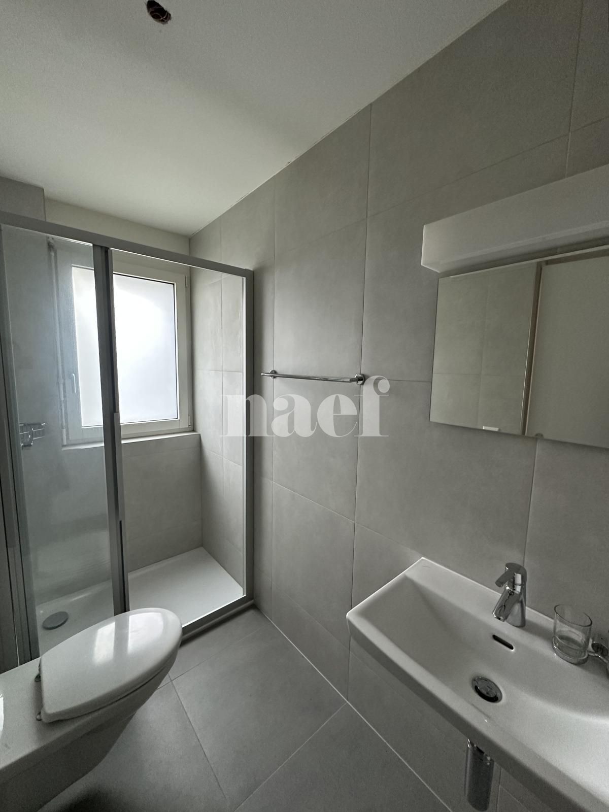 À louer : Appartement 4.5 Pieces Delémont - Ref : 219821.2 | Naef Immobilier