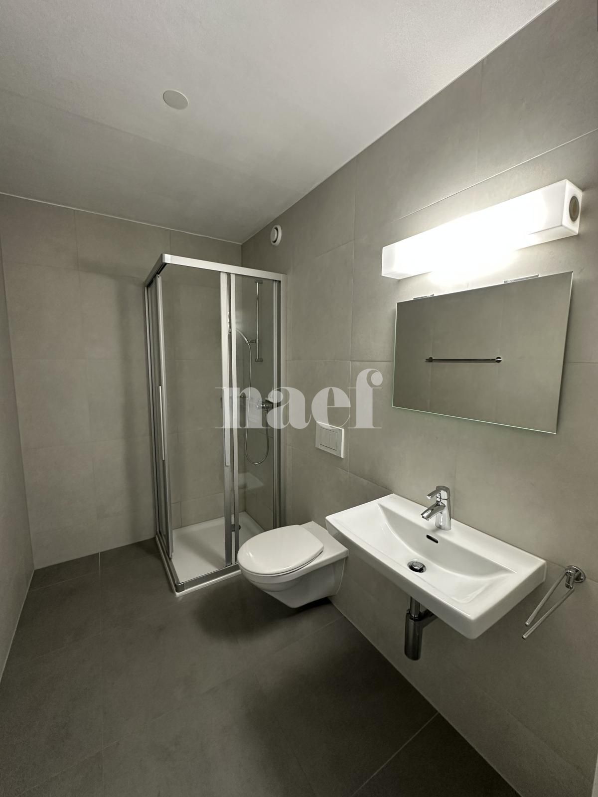 À louer : Appartement 5.5 Pieces Delémont - Ref : 219821.3002 | Naef Immobilier