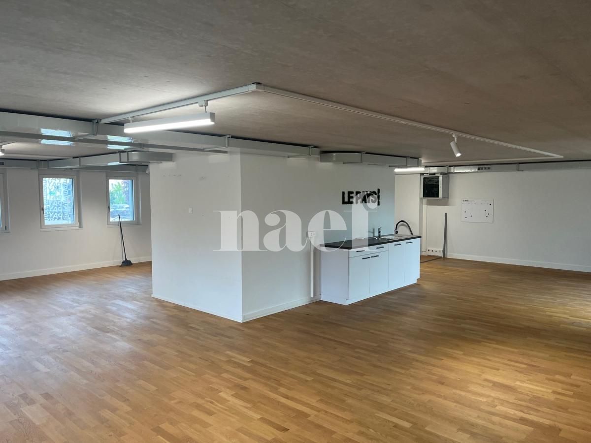 À louer : Surface Commerciale Atelier Delémont - Ref : 219822.80001 | Naef Immobilier