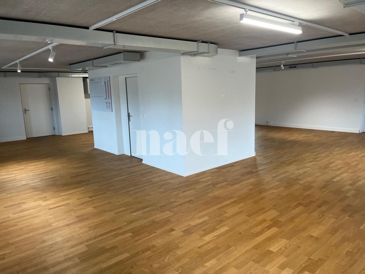 À louer : Surface Commerciale Atelier Delémont - Ref : 219822.80001 | Naef Immobilier