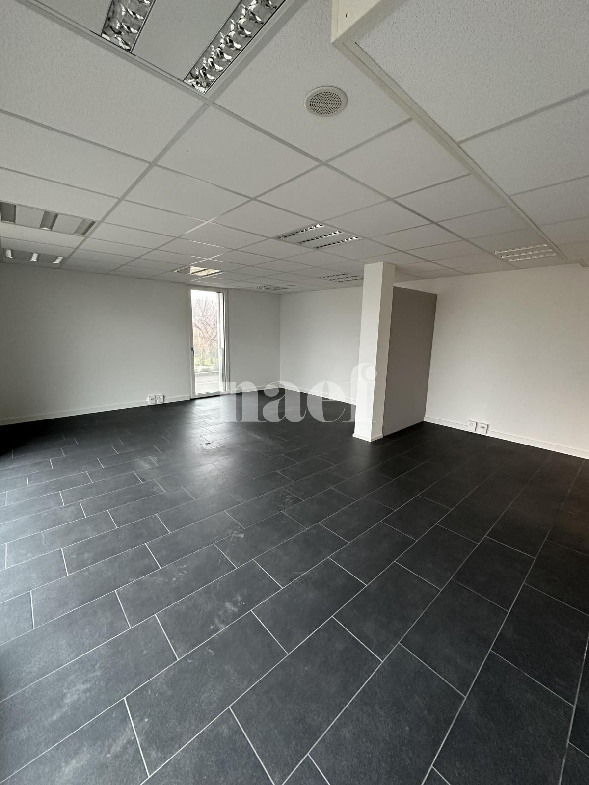 À louer : Surface Commerciale Atelier Delémont - Ref : 219823.80002 | Naef Immobilier