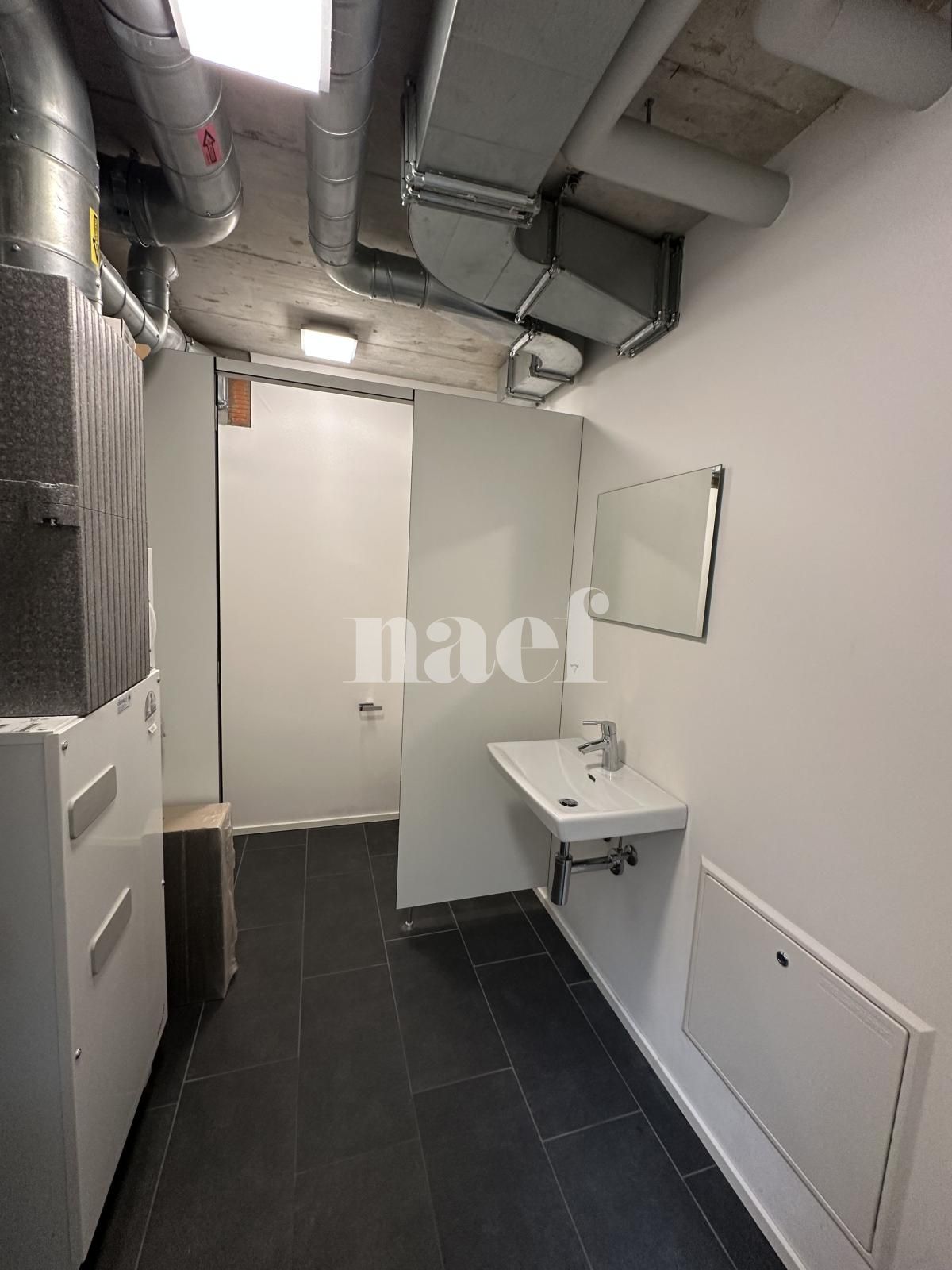 À louer : Surface Commerciale Atelier Delémont - Ref : 219823.80002 | Naef Immobilier