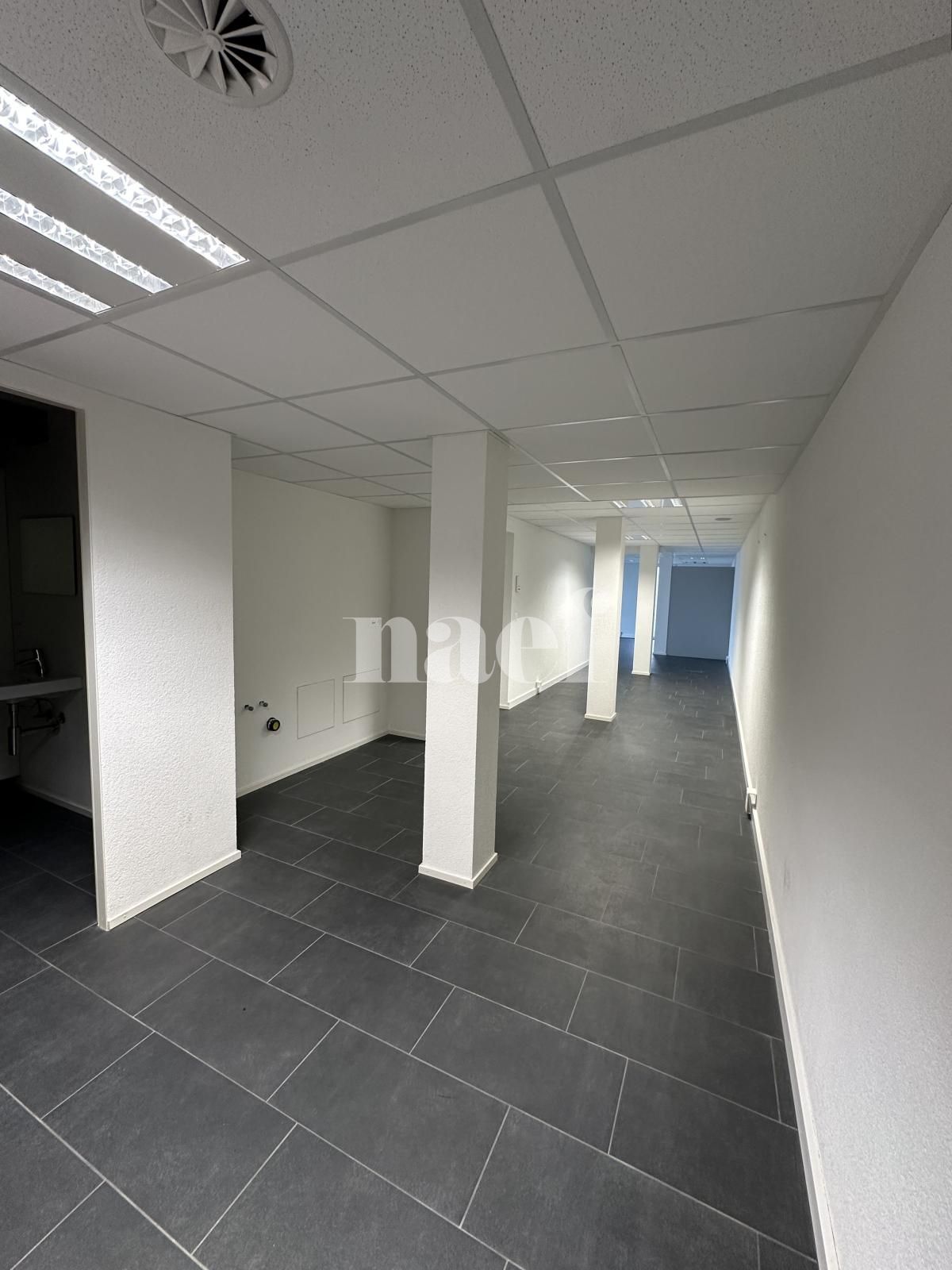 À louer : Surface Commerciale Atelier Delémont - Ref : 219823.80002 | Naef Immobilier