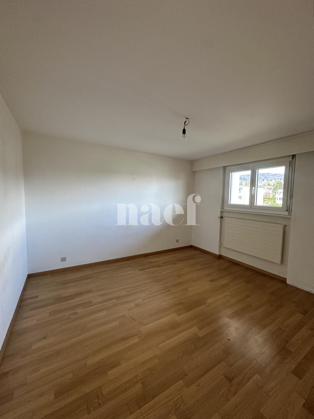 À louer : Appartement 2 Pieces Colombier - Ref : 219825.2006 | Naef Immobilier
