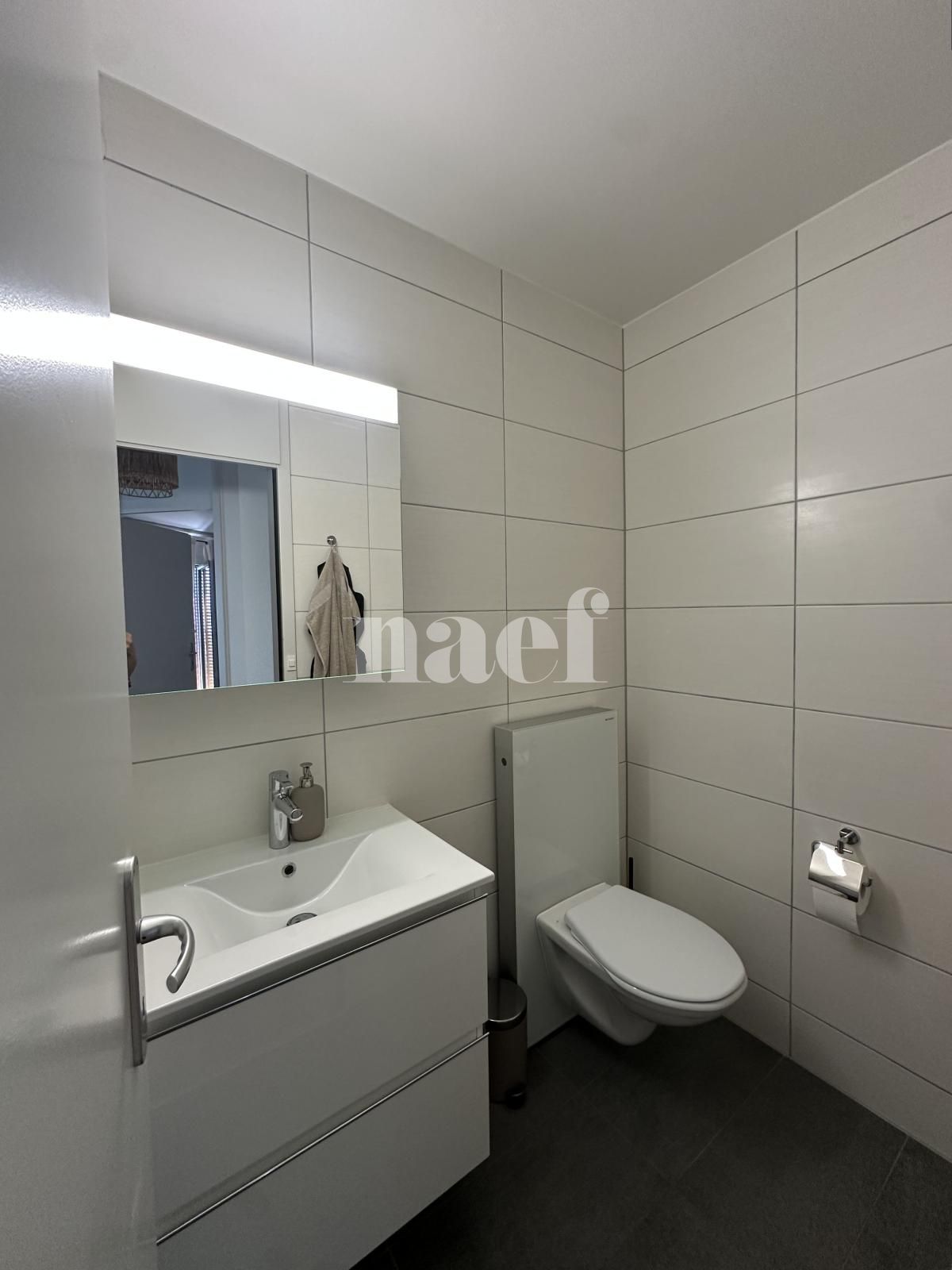 À louer : Appartement 4.5 Pieces Neuchâtel - Ref : 219842.3002 | Naef Immobilier
