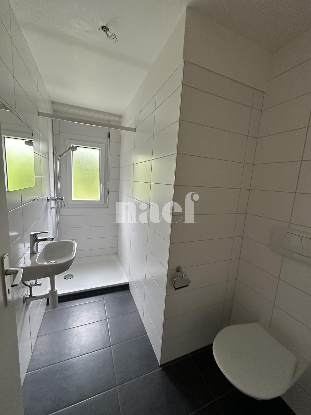 À louer : Appartement 4.5 Pieces Neuchâtel - Ref : 219843.4002 | Naef Immobilier