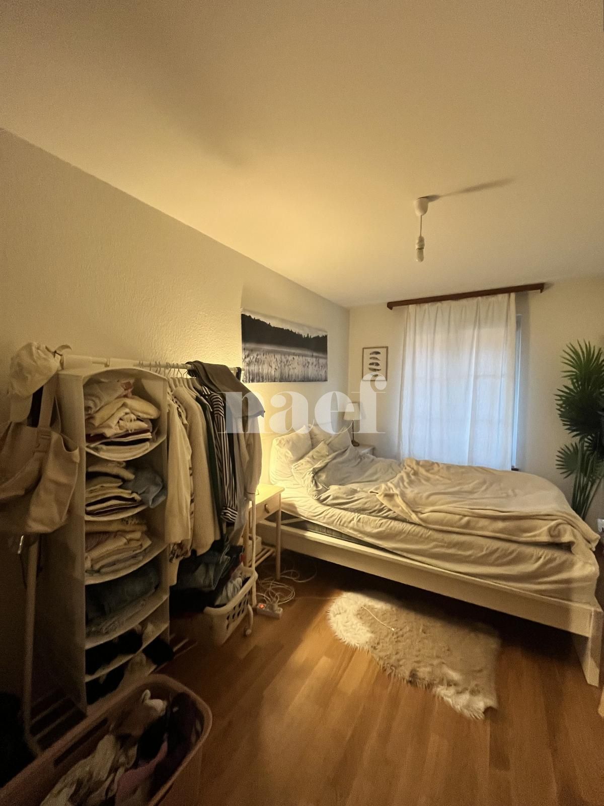 À louer : Appartement 3.5 Pieces Peseux - Ref : 219900.3001 | Naef Immobilier
