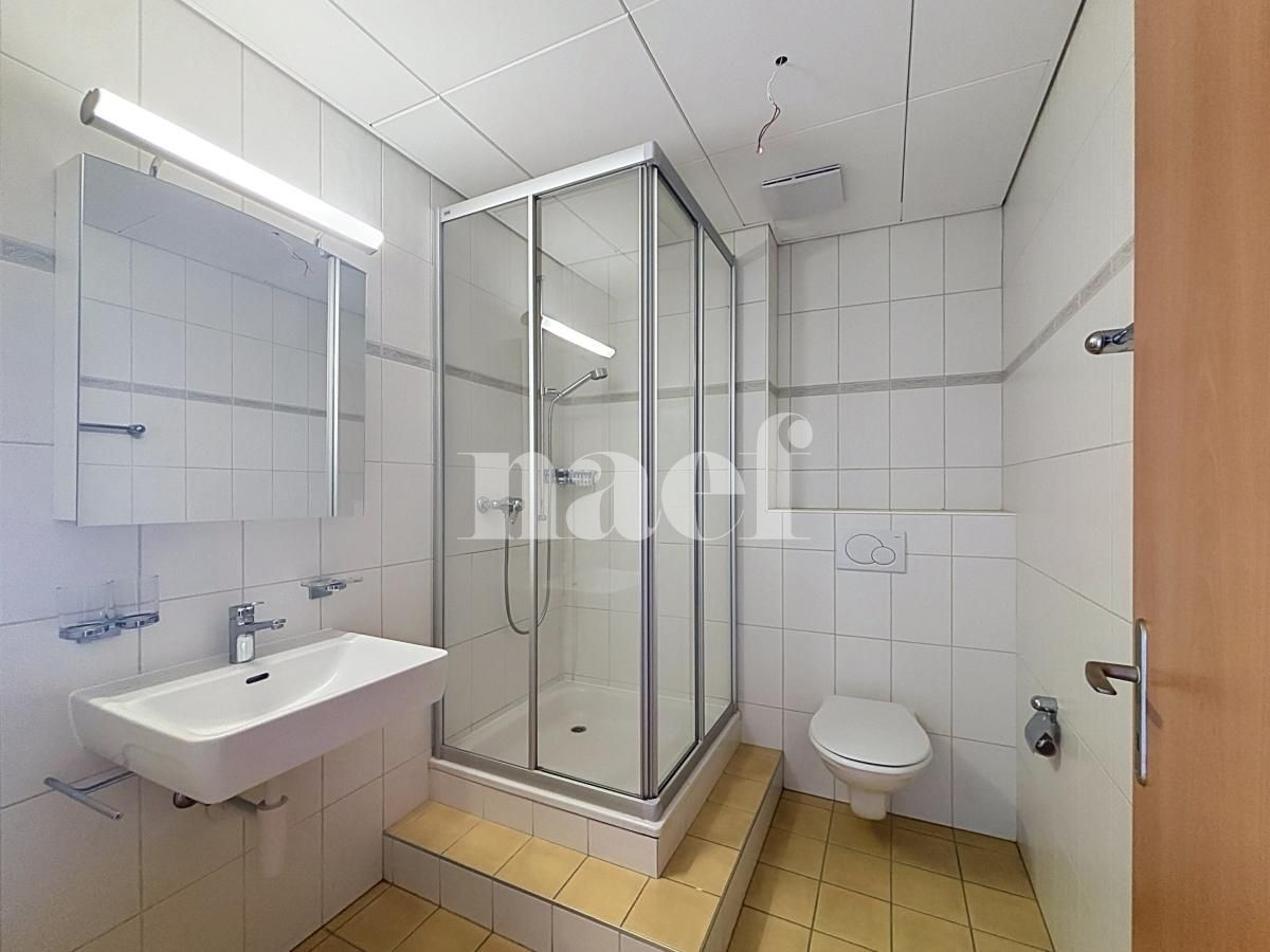 À louer : Appartement 4.5 Pieces Orbe - Ref : 223430.1012 | Naef Immobilier