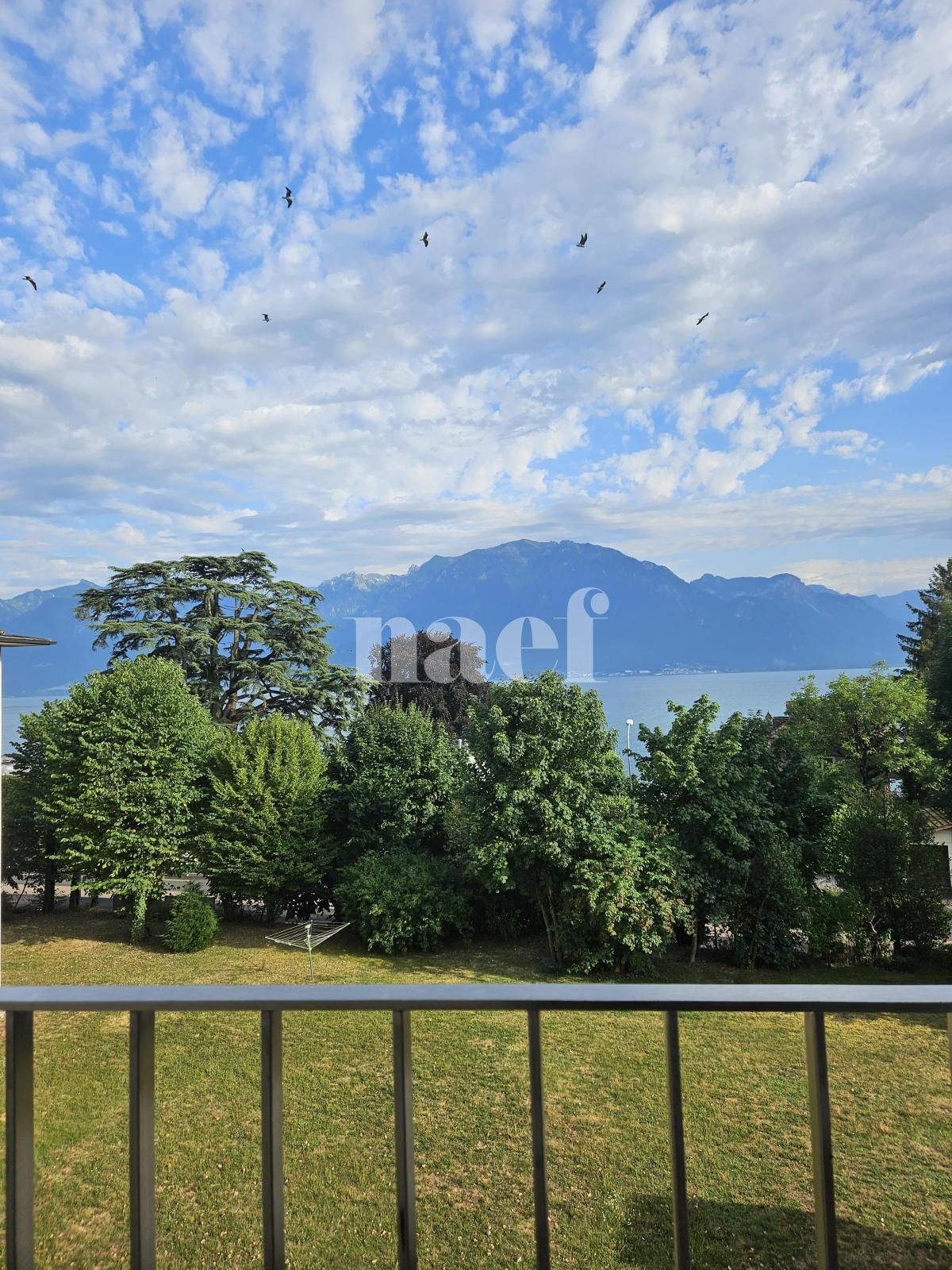 À louer : Appartement 4 Pieces La Tour-de-Peilz - Ref : 223657.2002 | Naef Immobilier