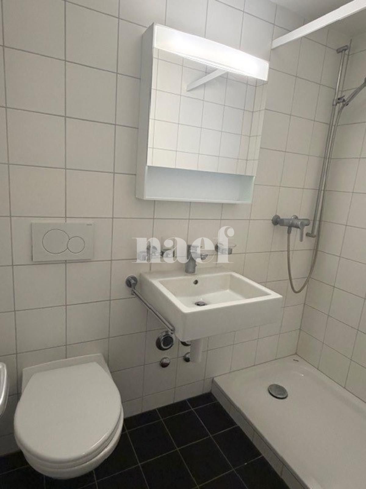 À louer : Appartement 1 Pieces Yverdon-les-Bains - Ref : 223663.3007 | Naef Immobilier