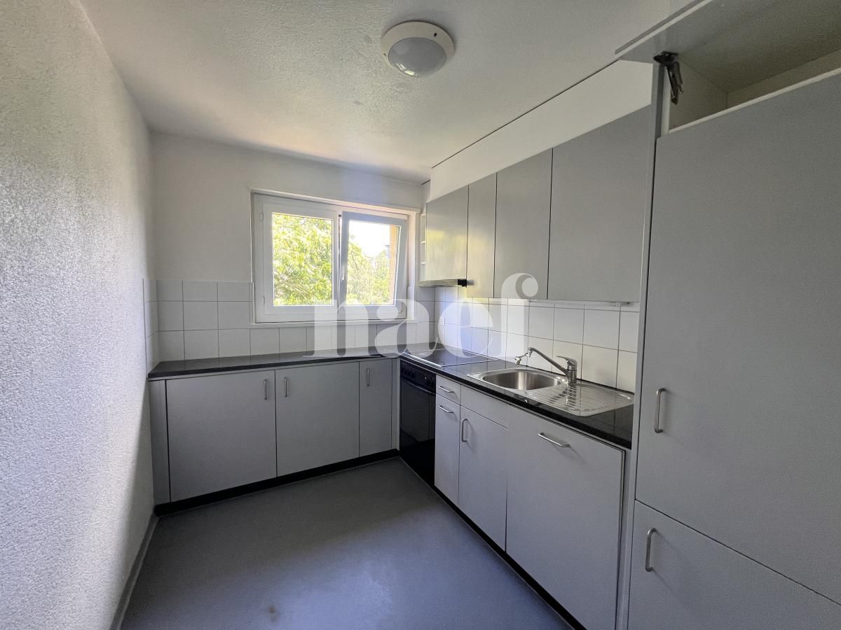 À louer : Appartement 4 Pieces Fribourg - Ref : 223671.3002 | Naef Immobilier