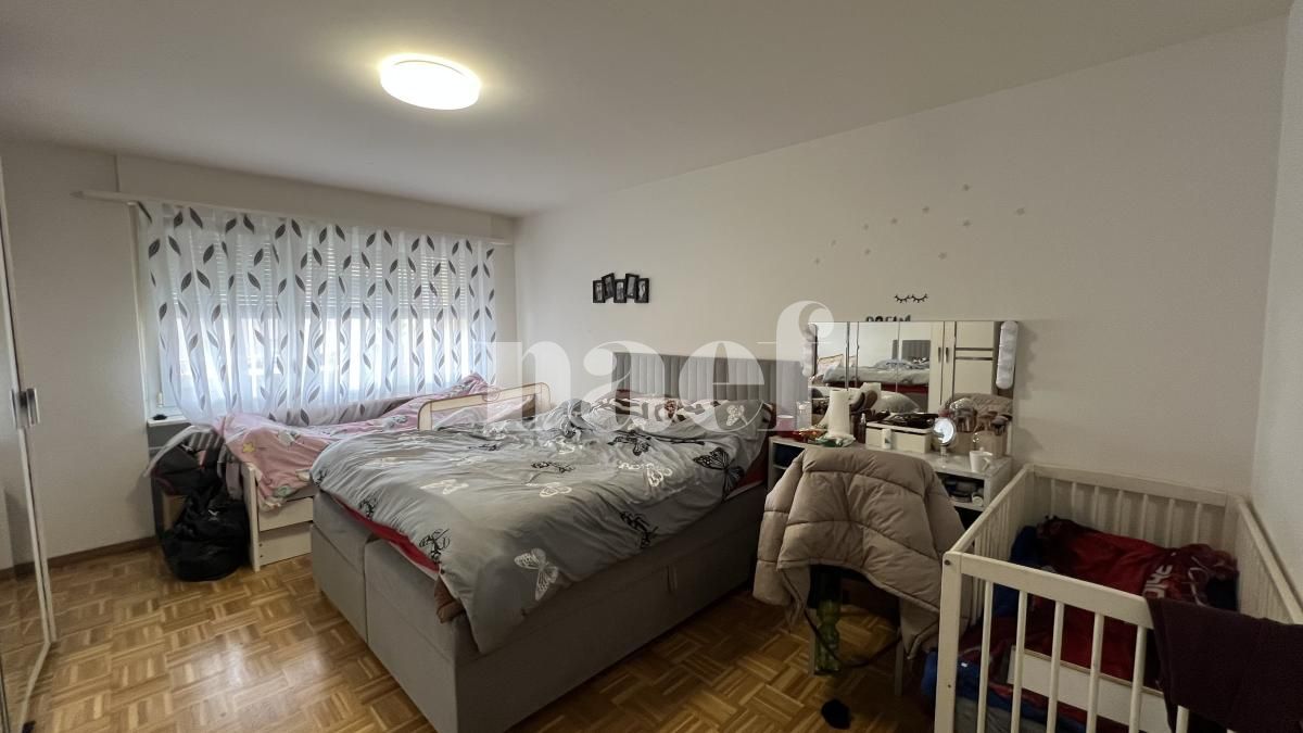 À louer : Appartement 5 Pieces Fribourg - Ref : 223672.1 | Naef Immobilier