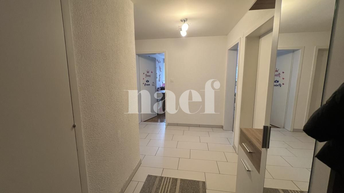 À louer : Appartement 5 Pieces Fribourg - Ref : 223672.1 | Naef Immobilier