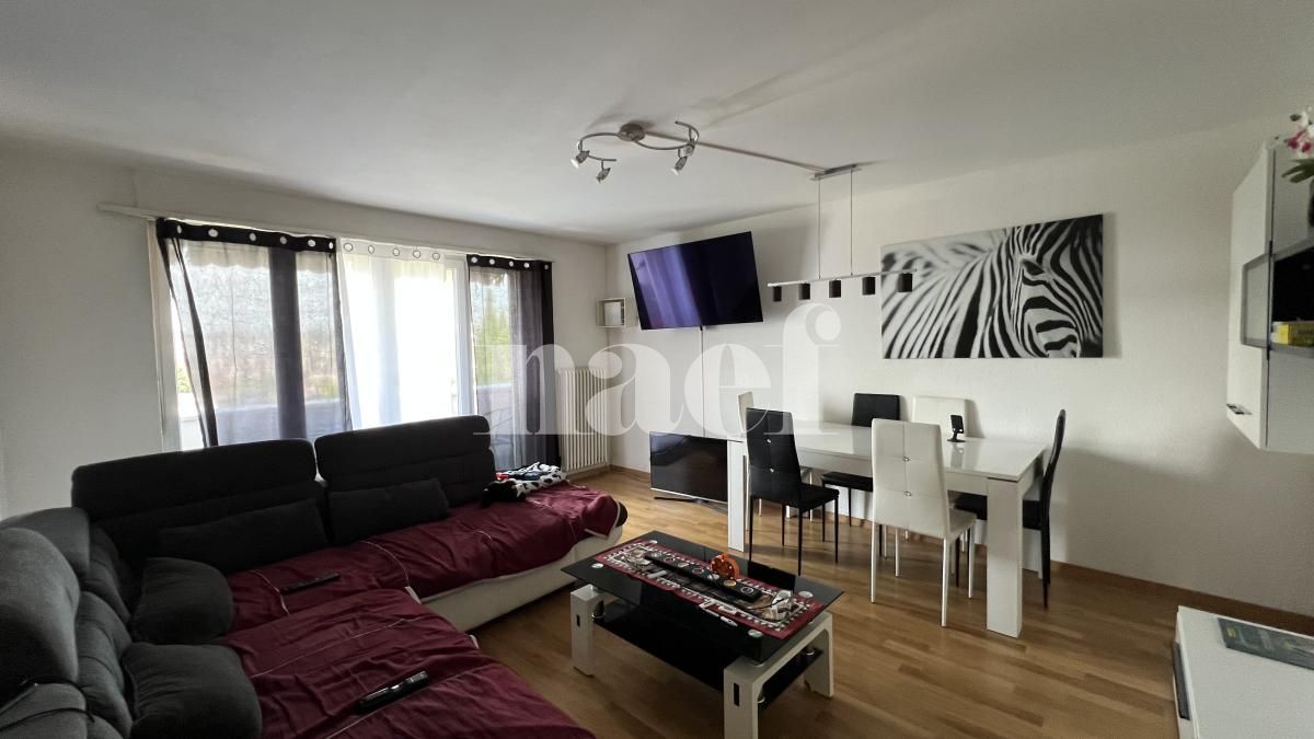 À louer : Appartement 3 Pieces Fribourg - Ref : 223677.1002 | Naef Immobilier