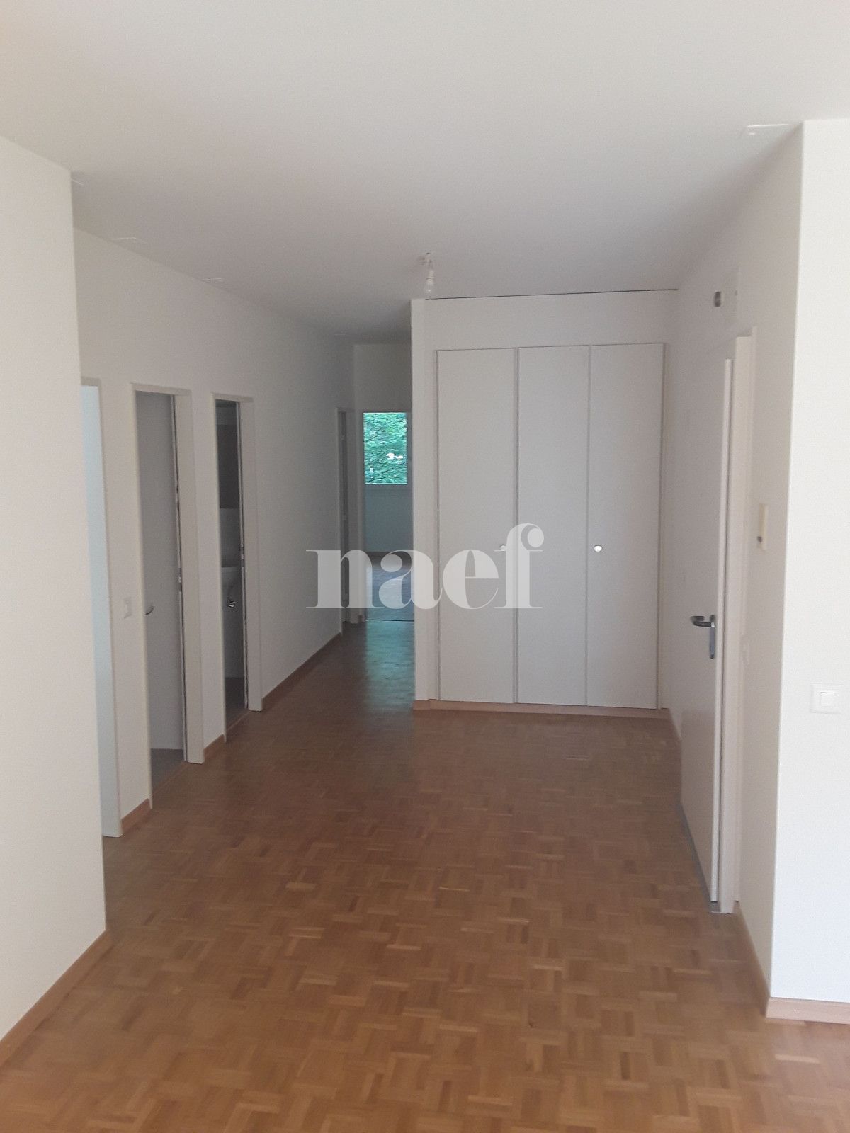 À louer : Appartement 5 Pieces Genève - Ref : 223681.1002 | Naef Immobilier