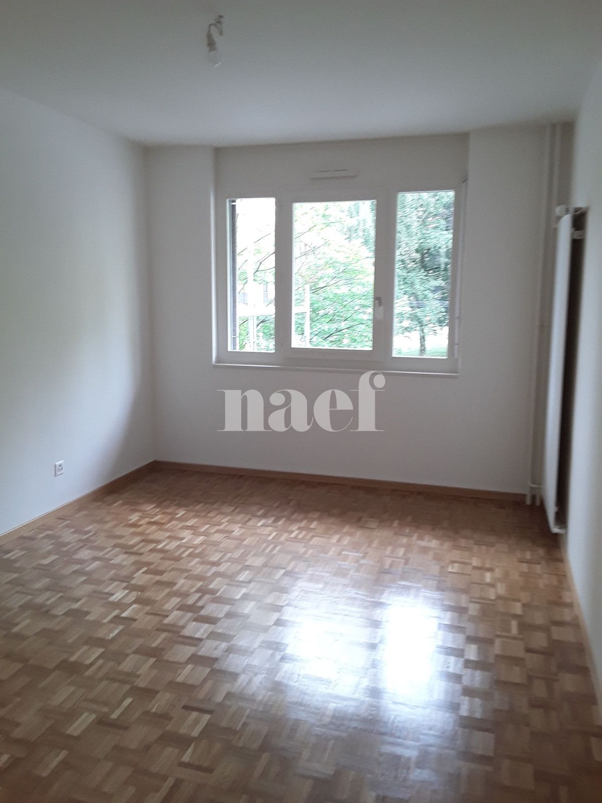 À louer : Appartement 5 Pieces Genève - Ref : 223681.1002 | Naef Immobilier