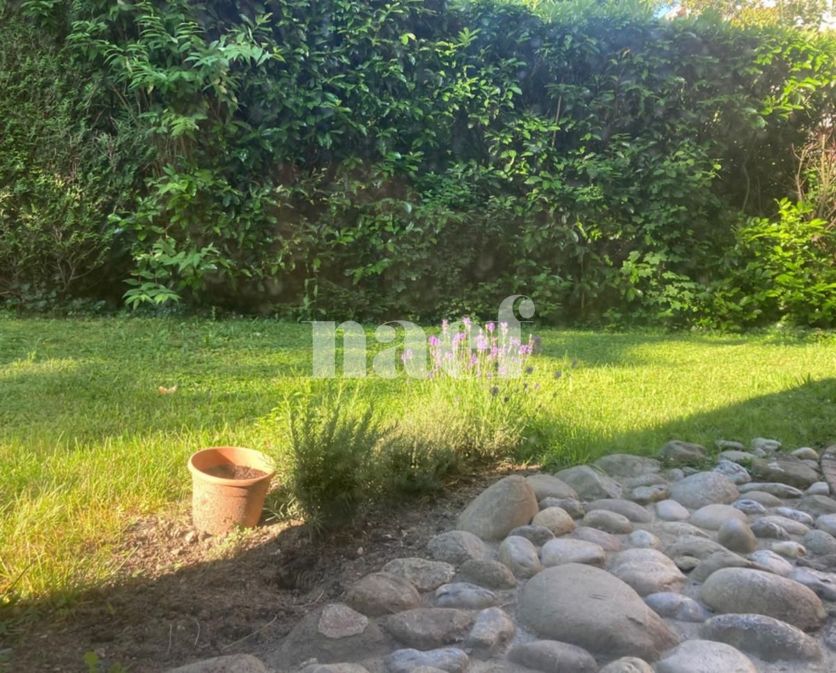 À louer : Appartement 5 Pieces Genève - Ref : 223681.2 | Naef Immobilier