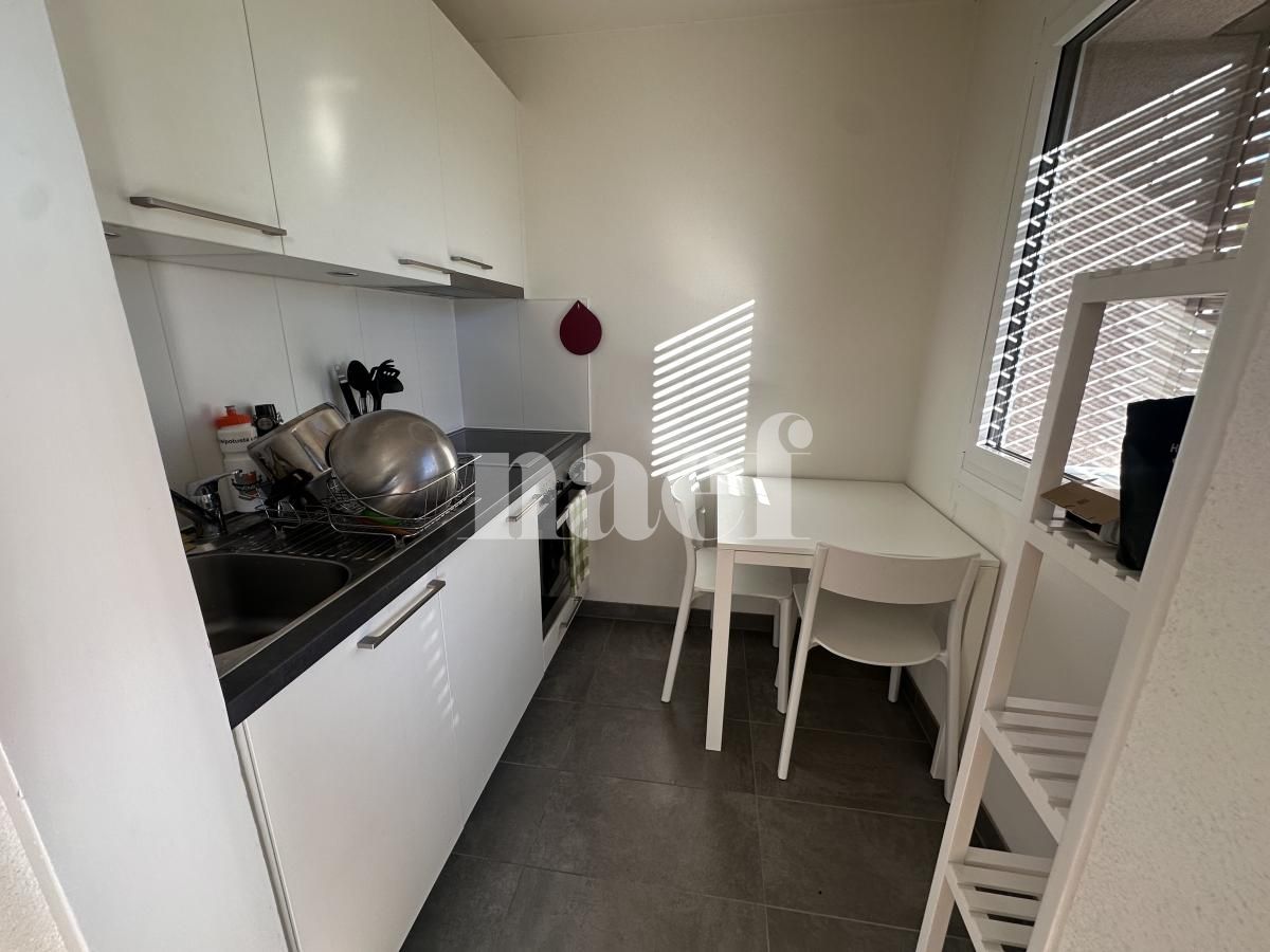 À louer : Appartement 1 Pieces Echandens - Ref : 224044.2013 | Naef Immobilier