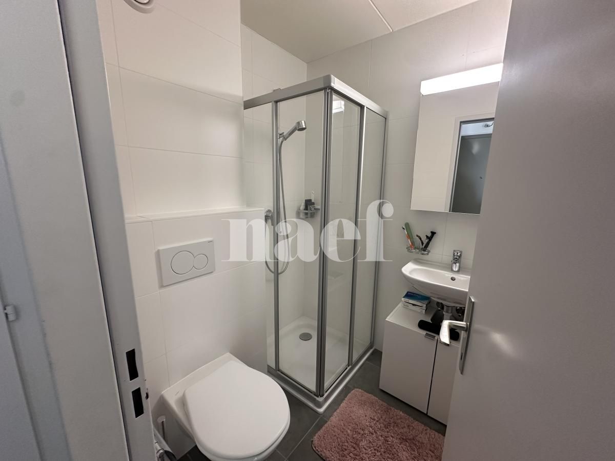 À louer : Appartement 1 Pieces Echandens - Ref : 224044.2013 | Naef Immobilier