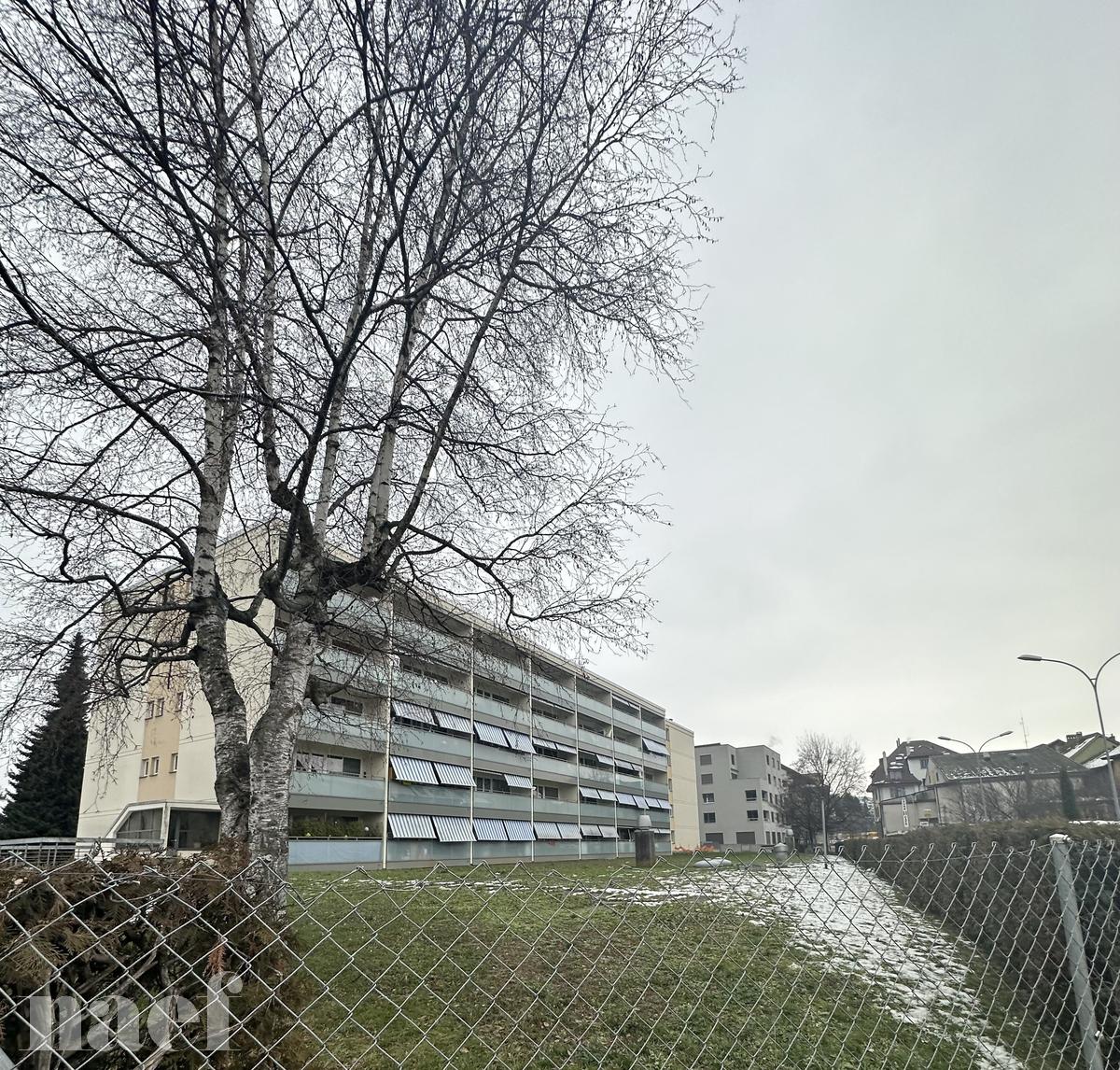 À louer : Appartement 2.5 Pieces Payerne - Ref : 224082.1 | Naef Immobilier