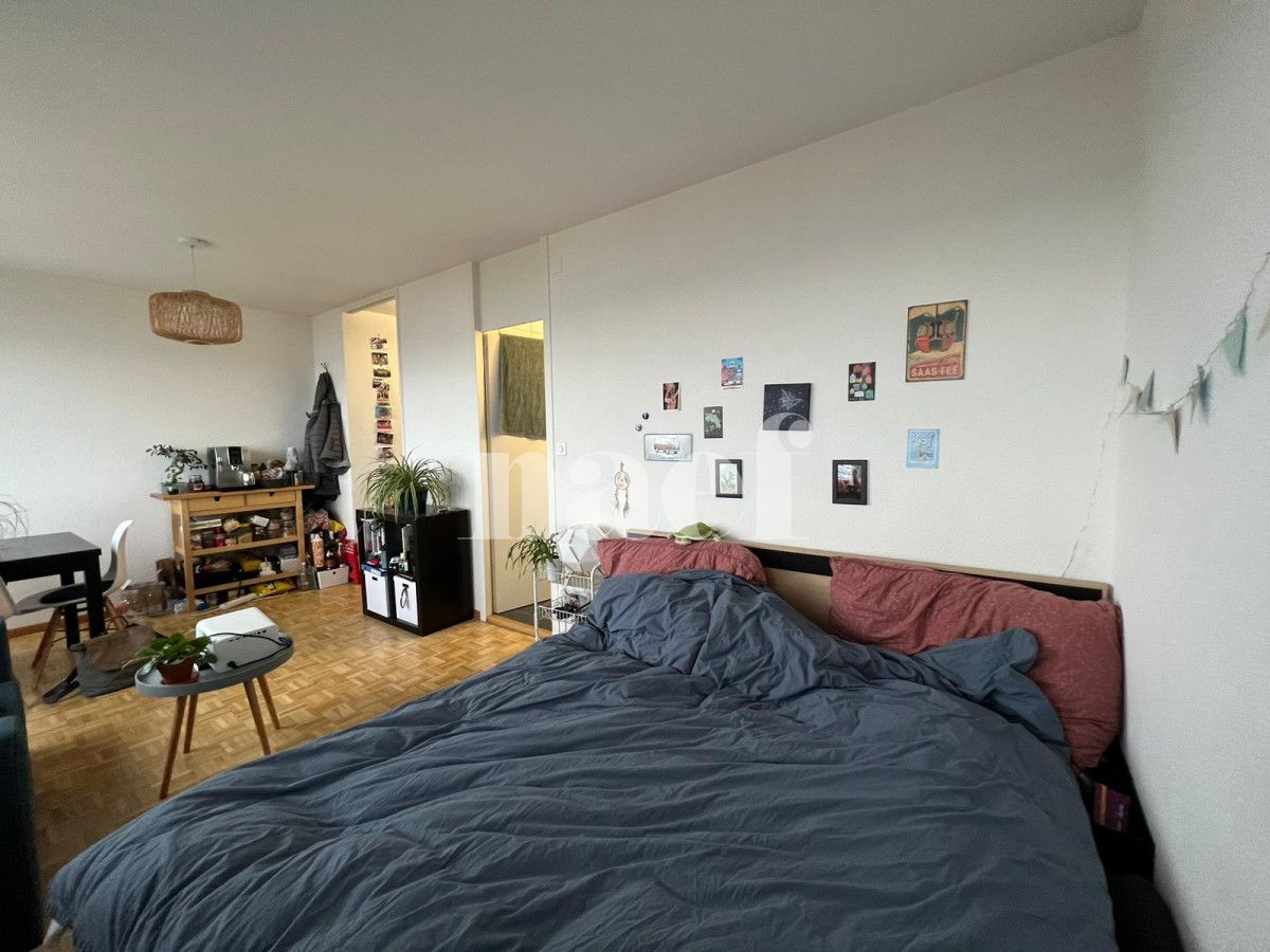 À louer : Appartement 1 Pieces Neuchâtel - Ref : 224208.2002 | Naef Immobilier