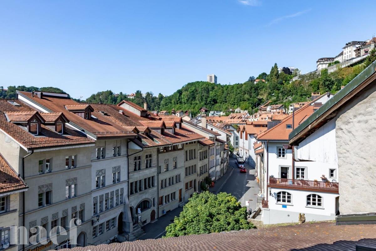 À louer : Appartement 1.5 Pieces Fribourg - Ref : 224214.2001 | Naef Immobilier