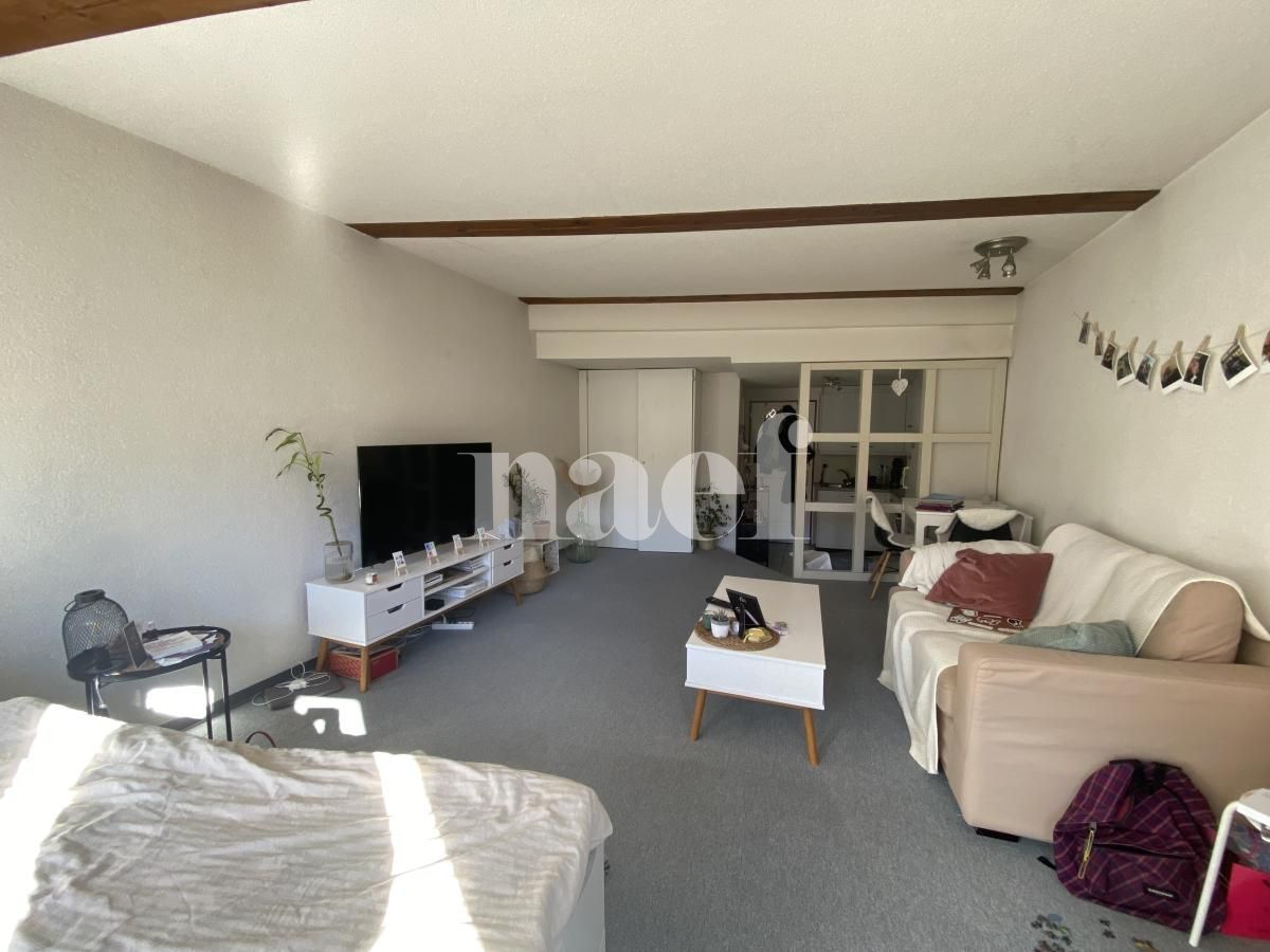 À louer : Appartement 1.5 Pieces Fribourg - Ref : 224214.2001 | Naef Immobilier