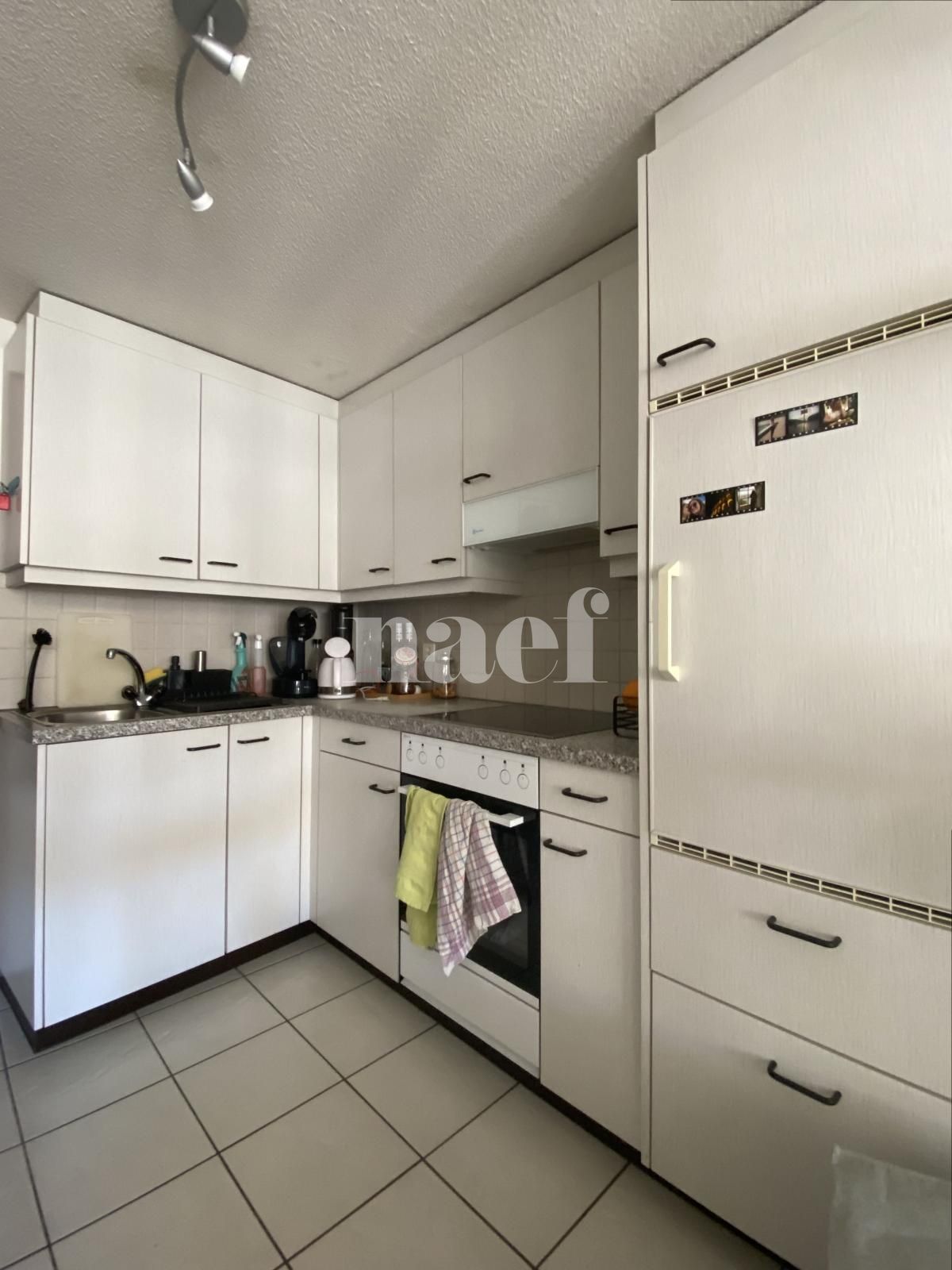 À louer : Appartement 1.5 Pieces Fribourg - Ref : 224214.2001 | Naef Immobilier
