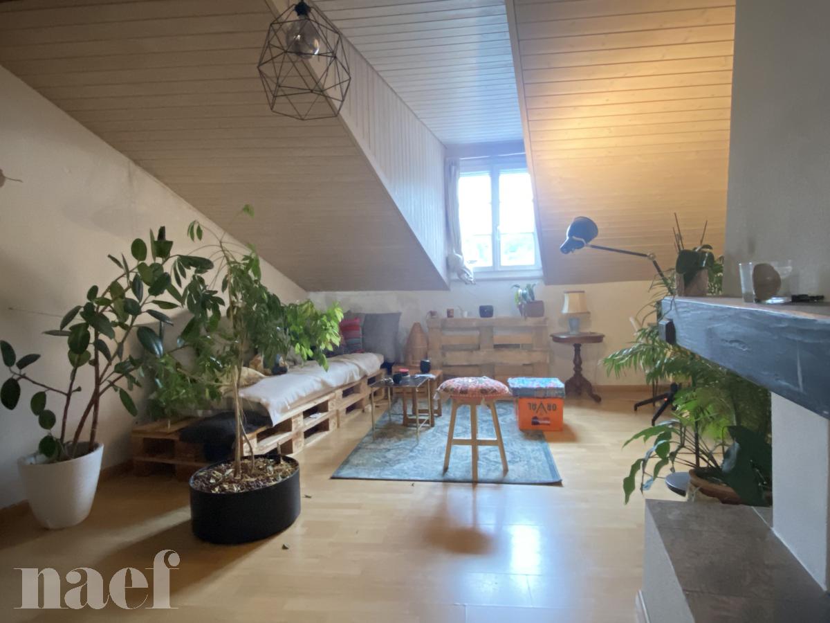 À louer : Appartement 3.5 Pieces Fribourg - Ref : 224214.4001 | Naef Immobilier