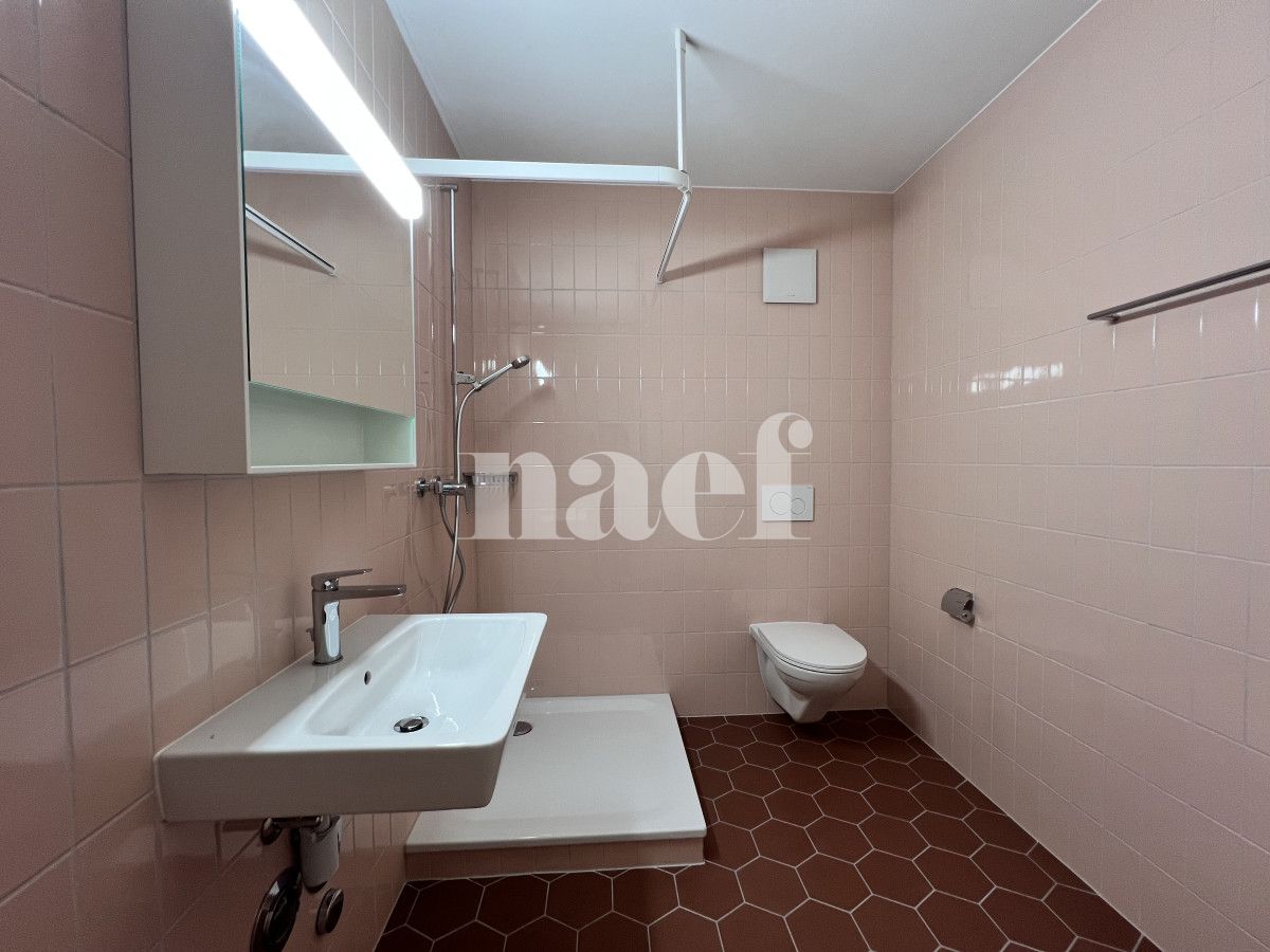 À louer : Appartement 2.5 Pieces Fribourg - Ref : 224259.3006 | Naef Immobilier